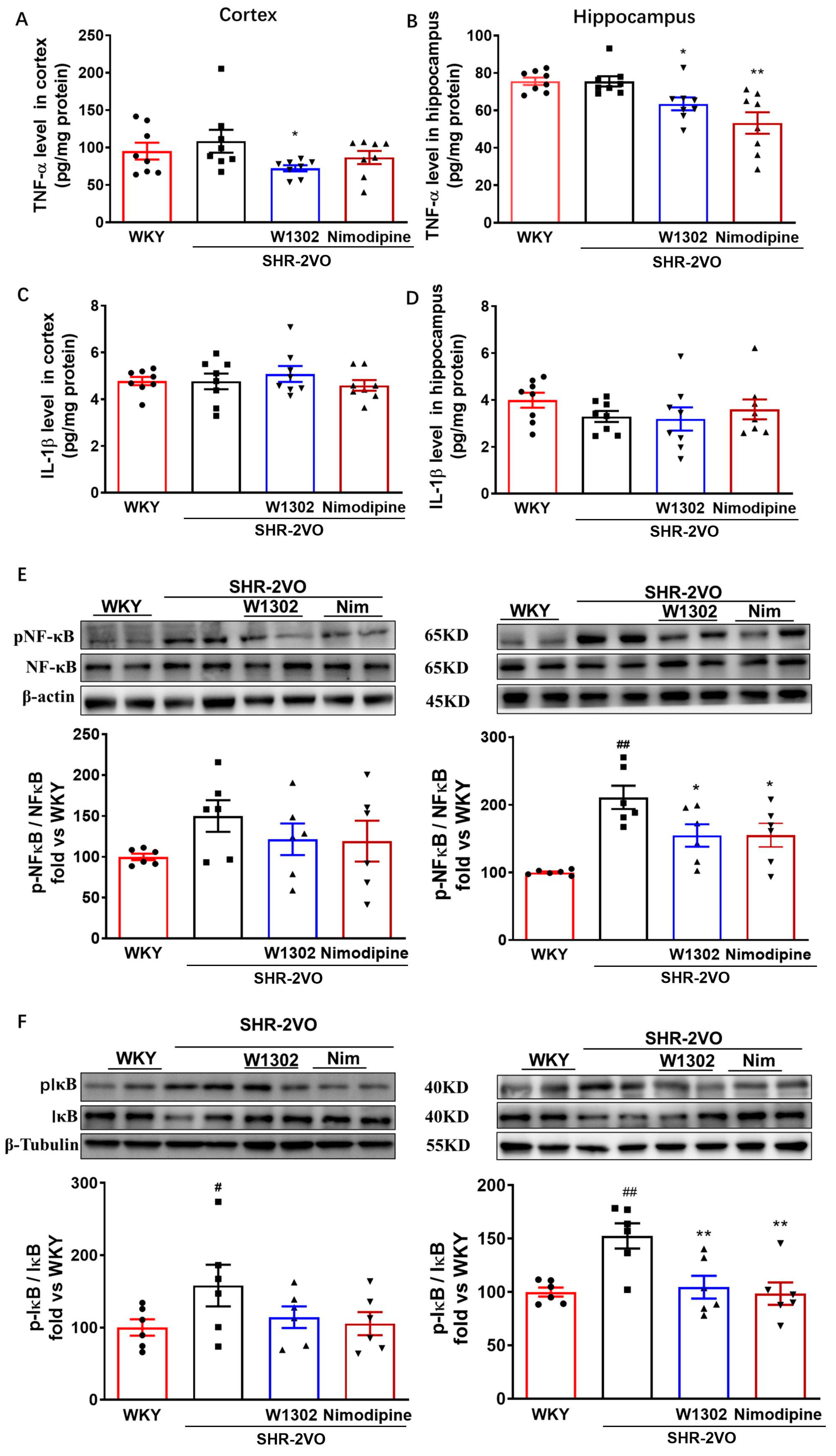 Antioxidants 13 00585 g004 Antioxidants 13 00585 g004