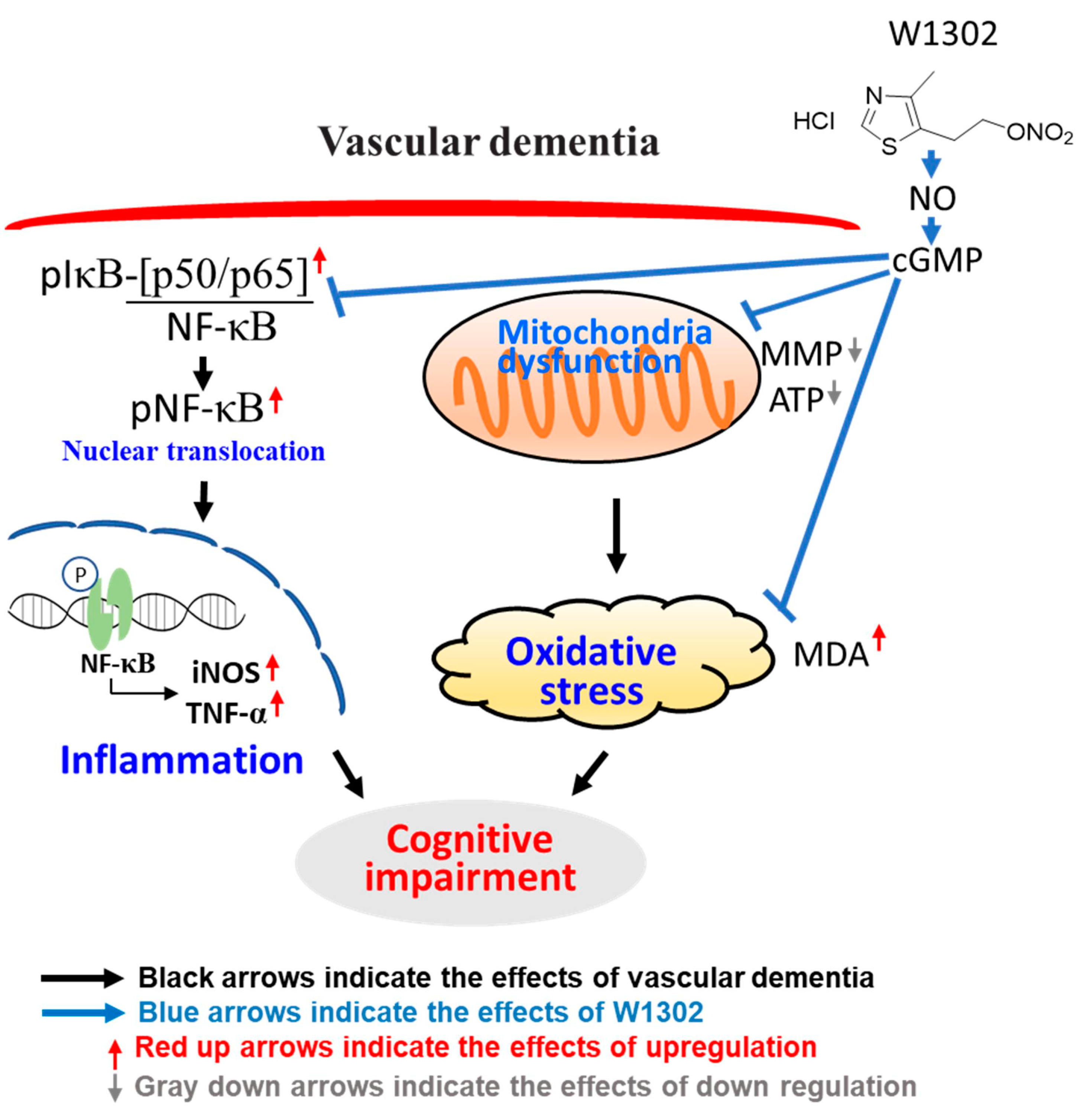Antioxidants 13 00585 g005 Antioxidants 13 00585 g005