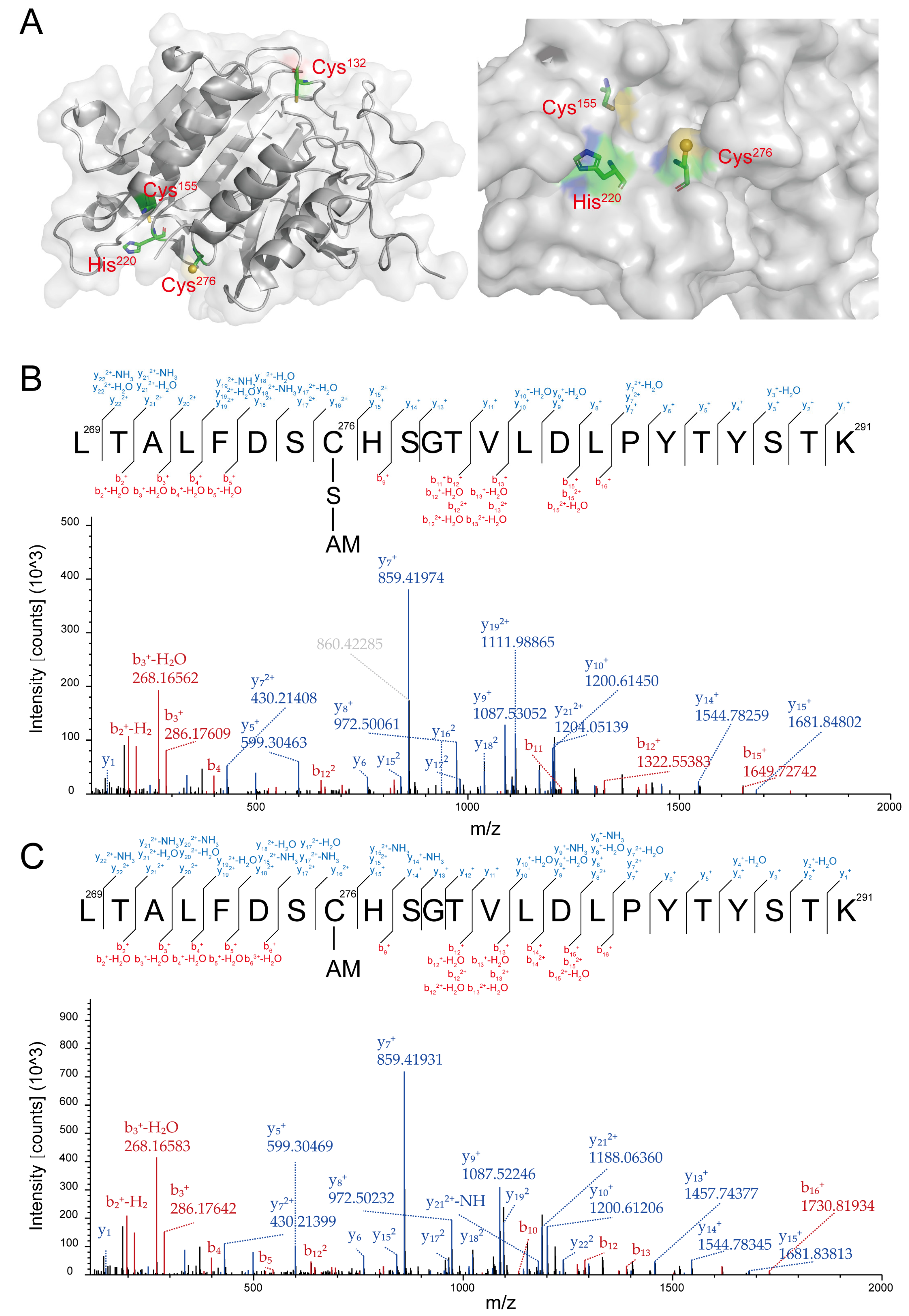 Antioxidants 13 00589 g002
