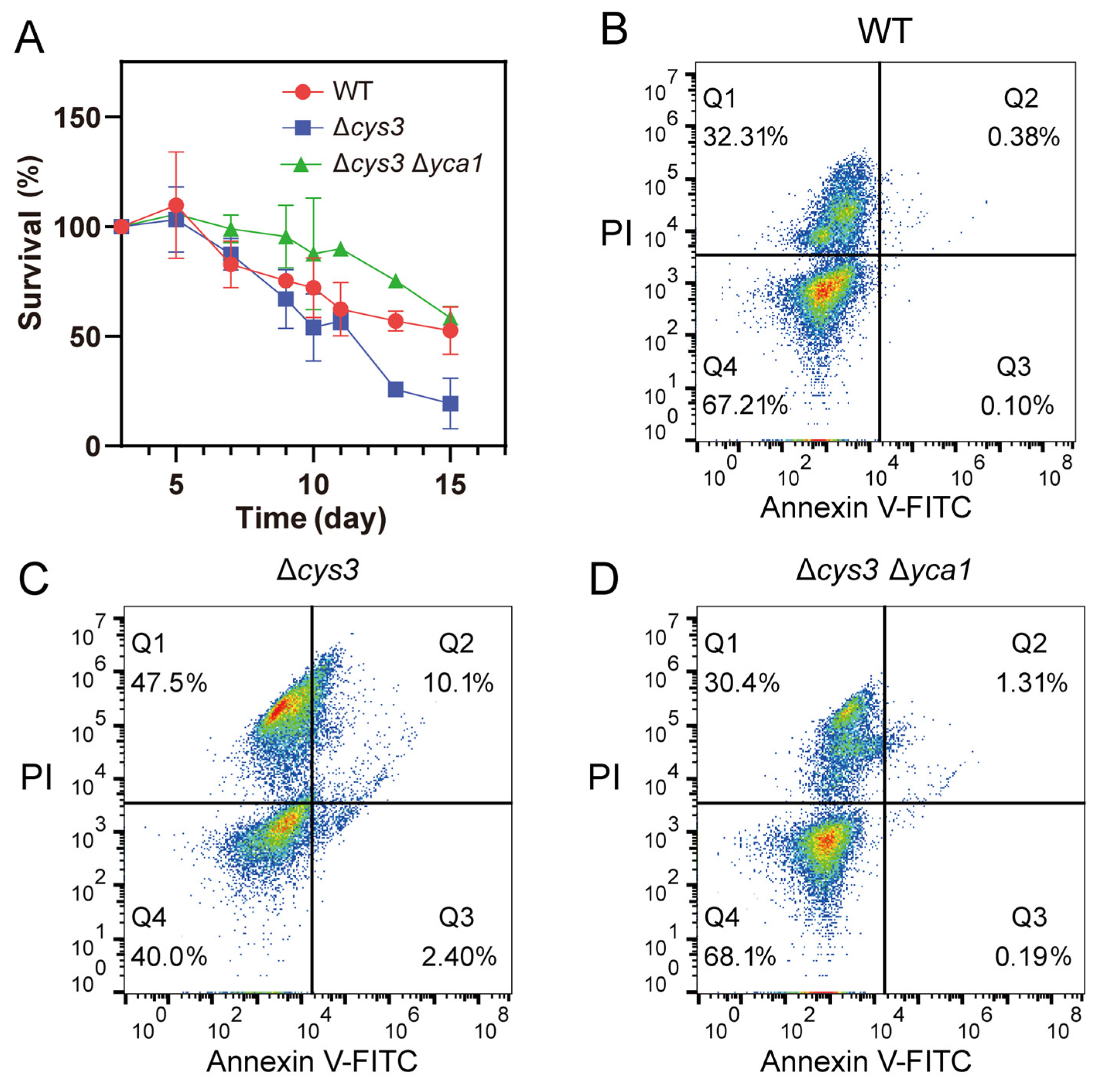 Antioxidants 13 00589 g005