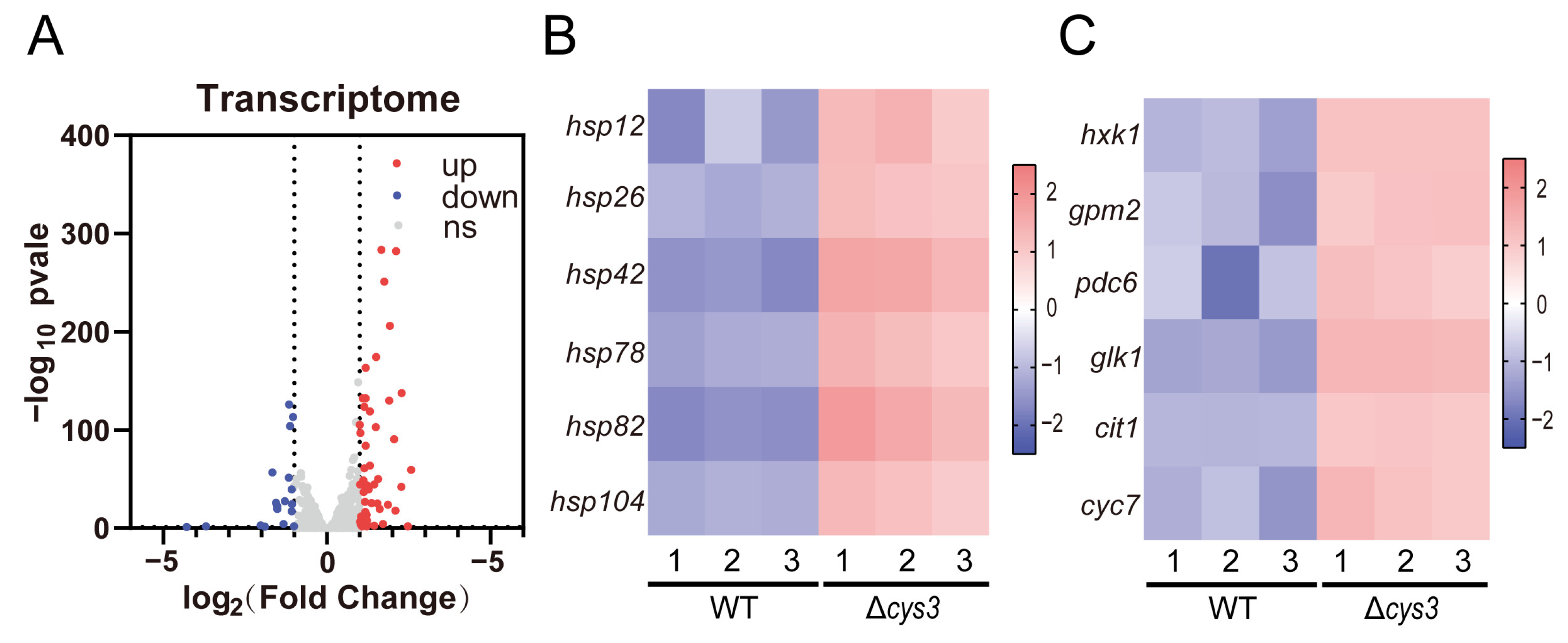 Antioxidants 13 00589 g006