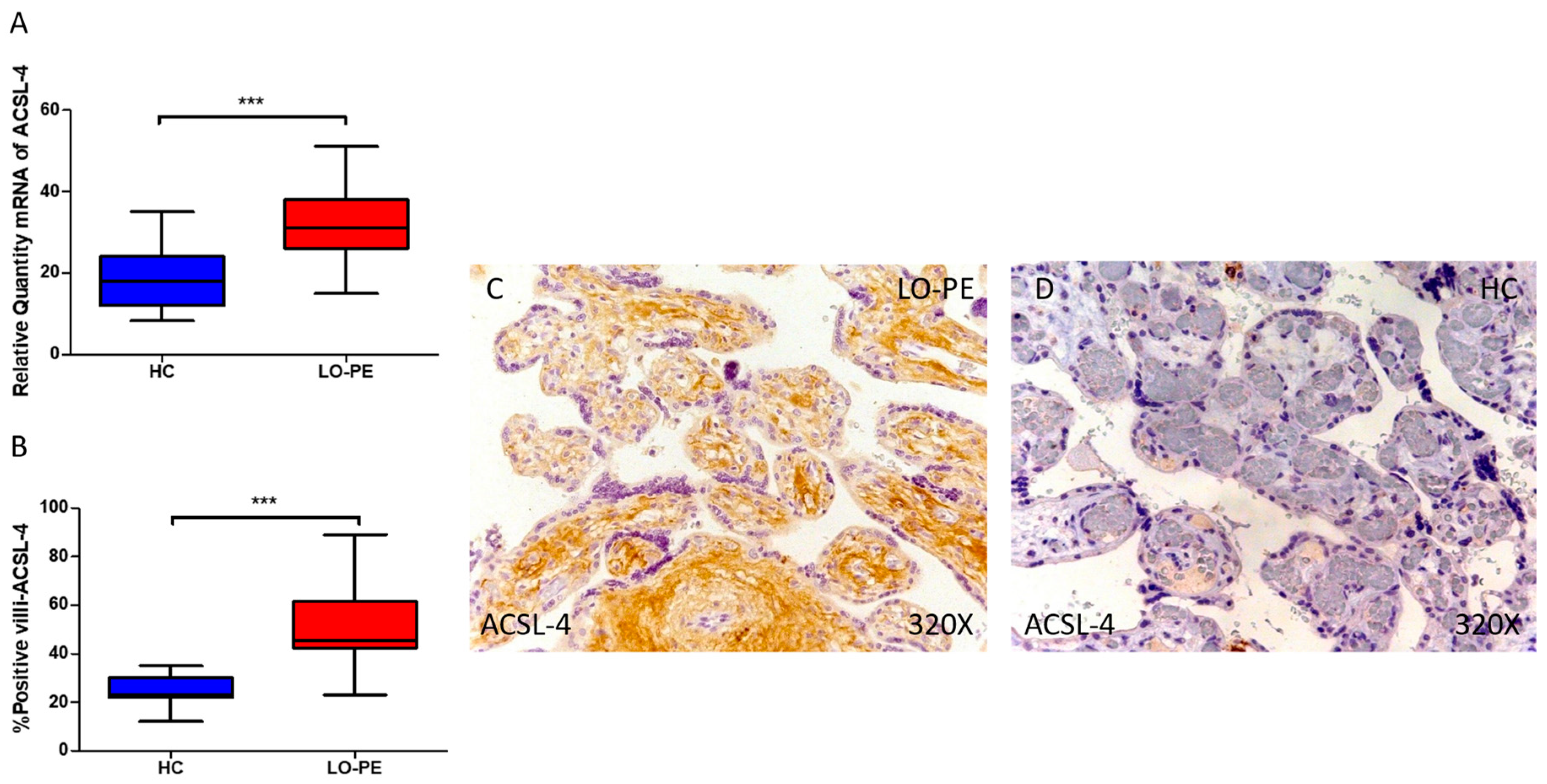 Antioxidants 13 00591 g005