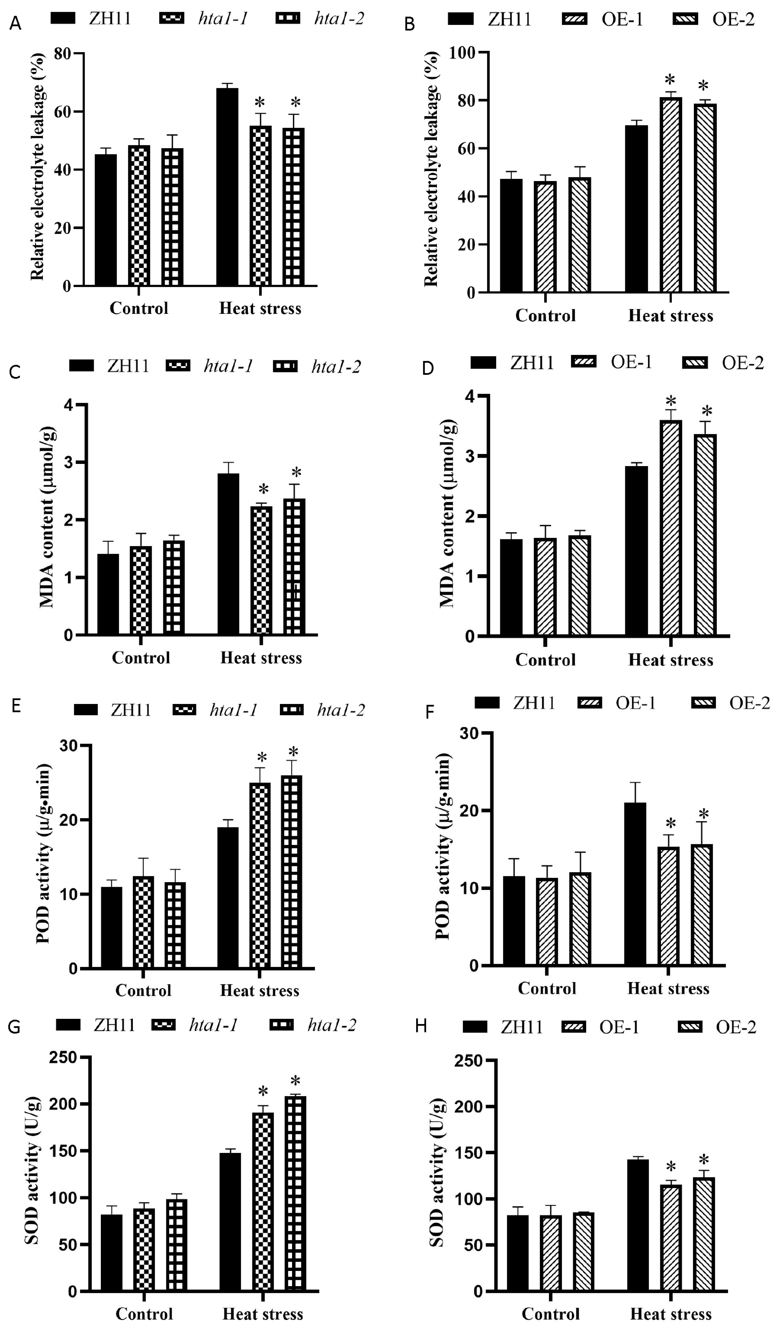 Antioxidants 13 00592 g003