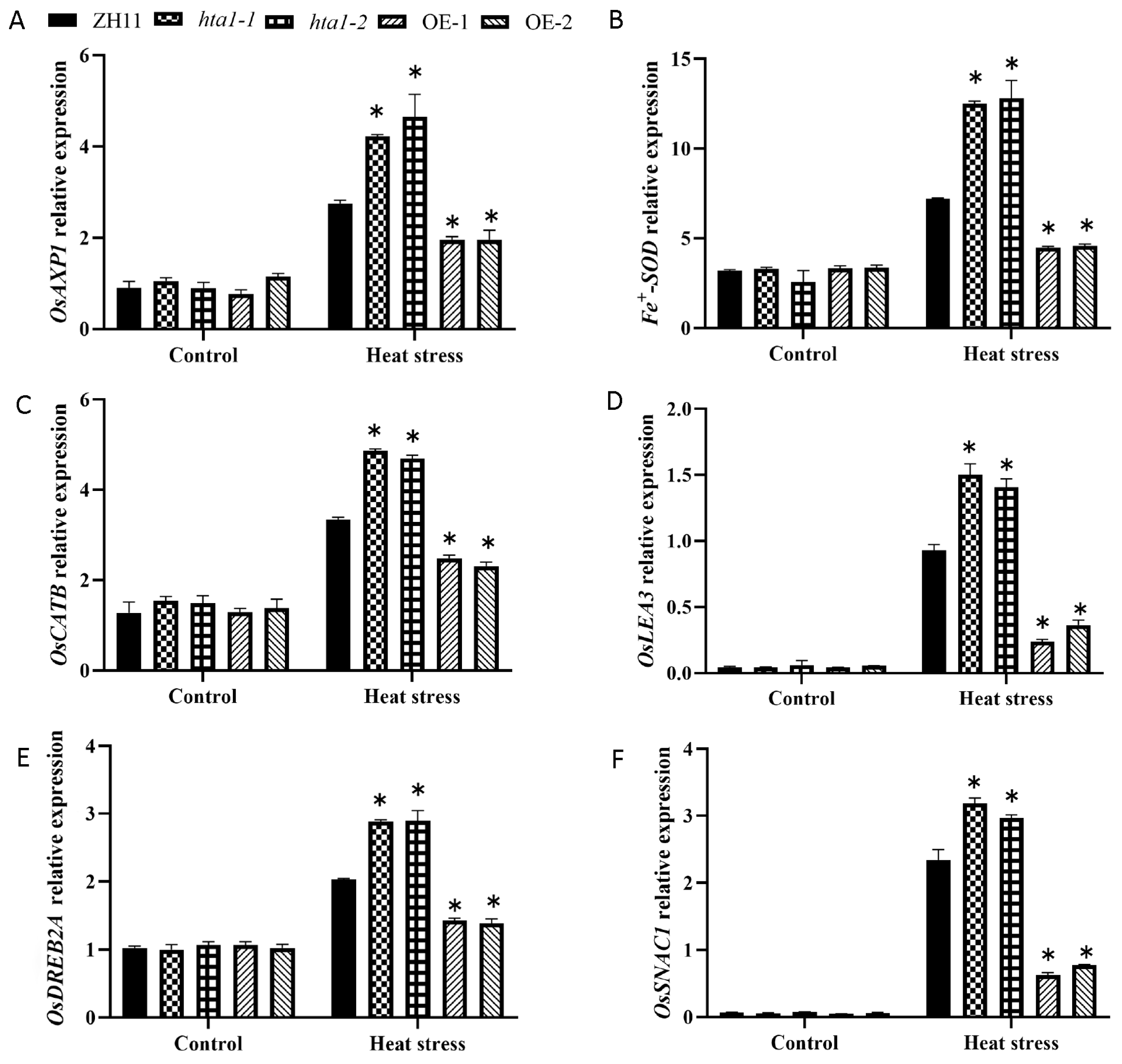 Antioxidants 13 00592 g005