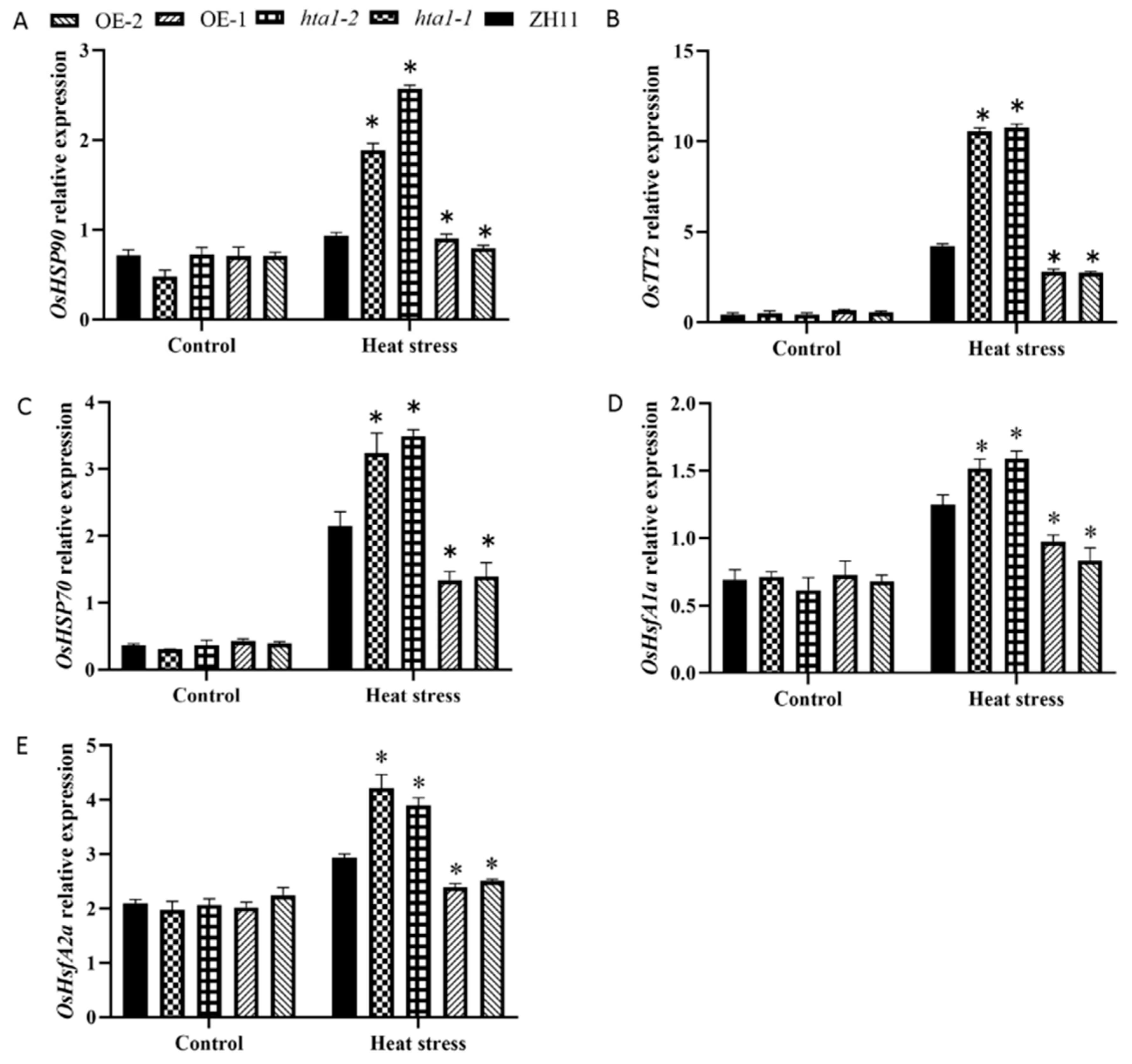 Antioxidants 13 00592 g006