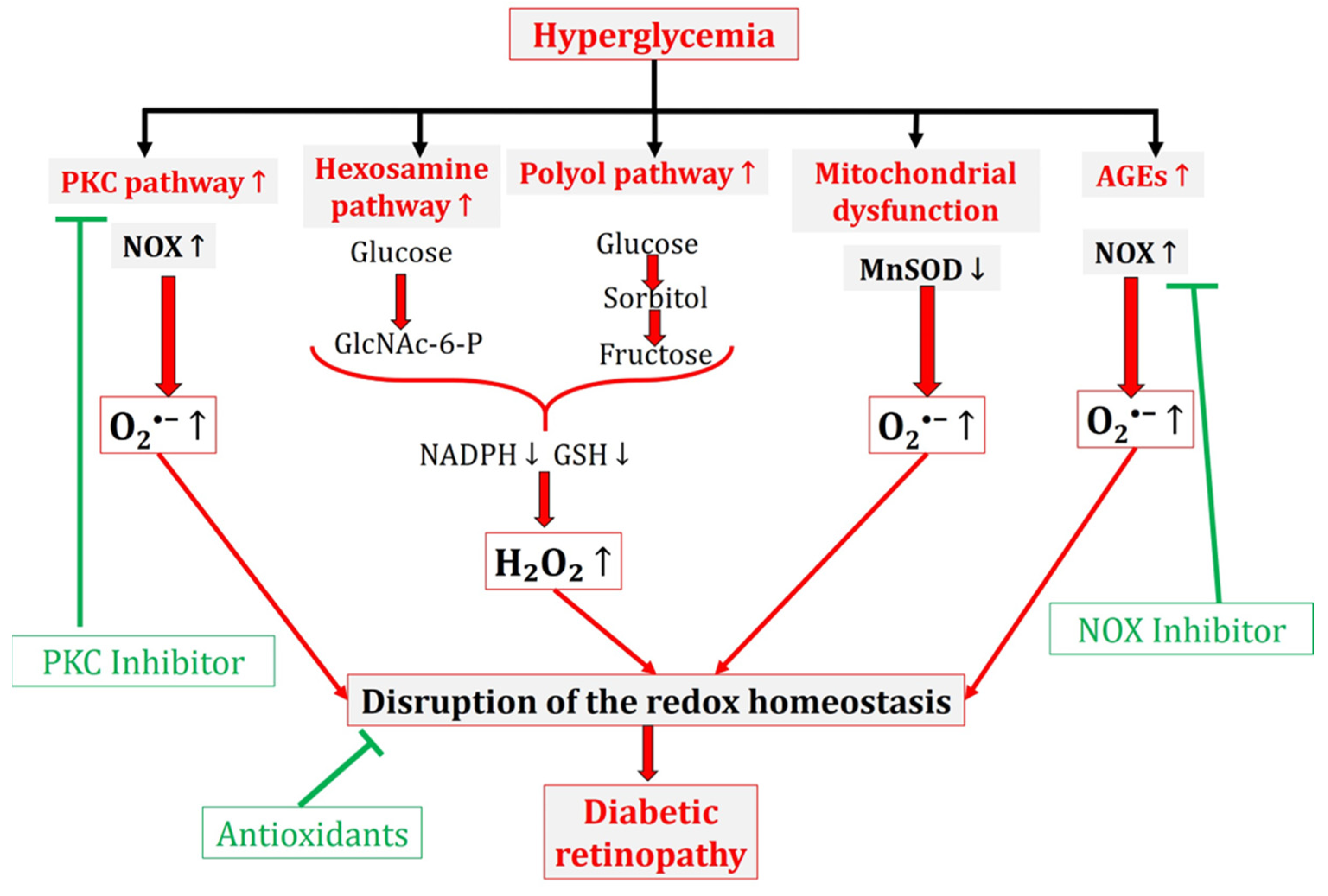 Antioxidants 13 00594 g002