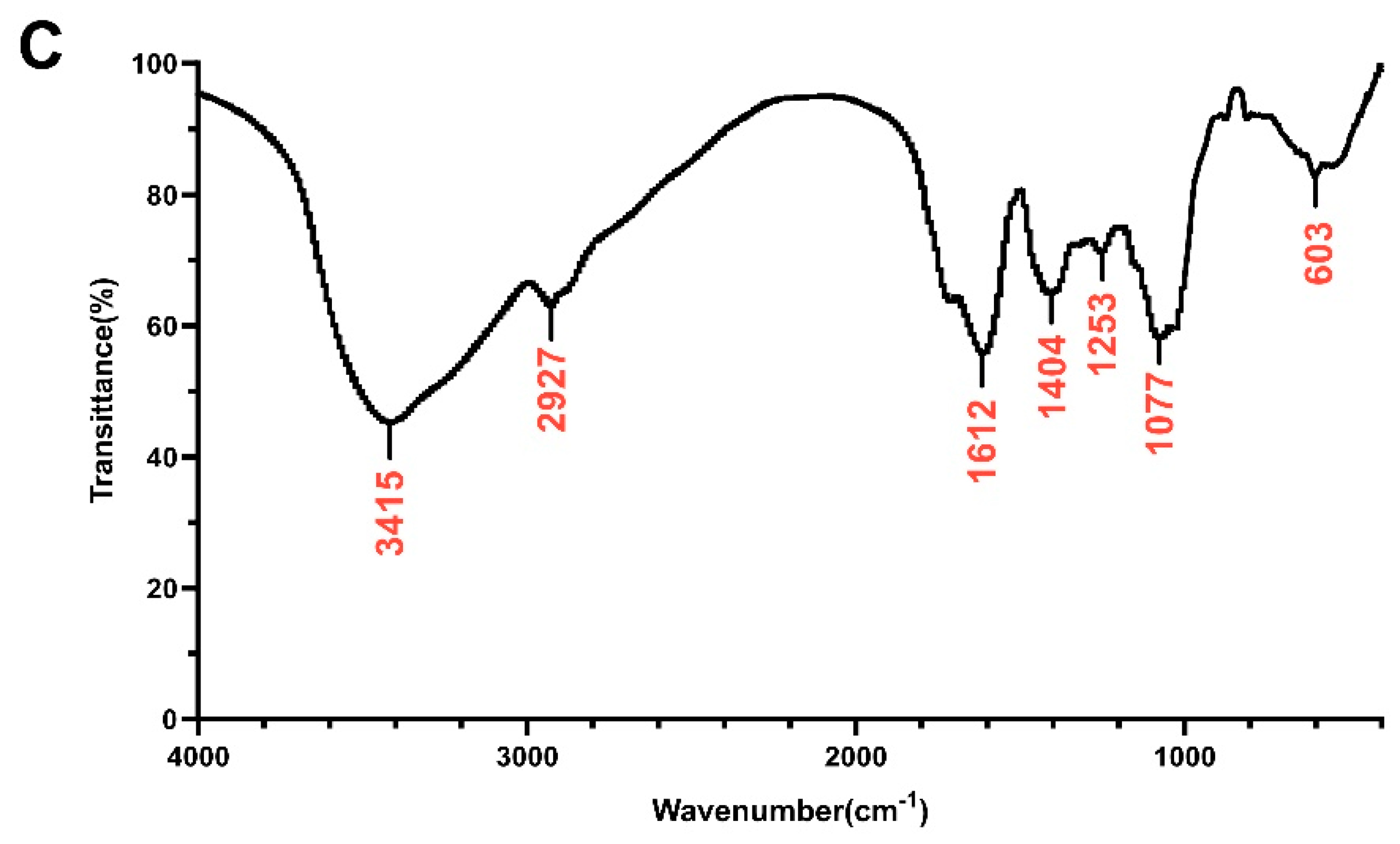 Antioxidants 13 00599 g001b