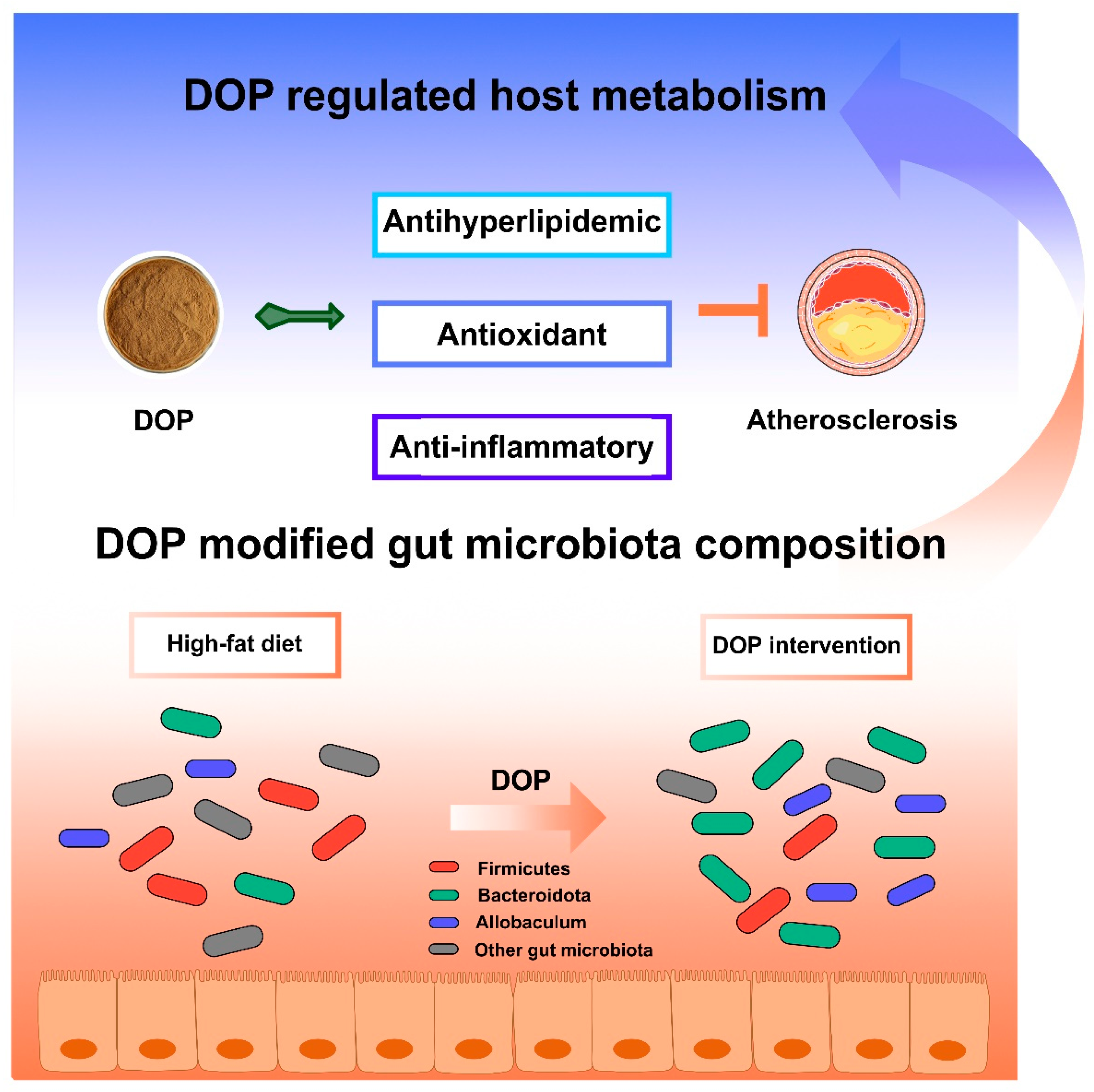 Antioxidants 13 00599 g008