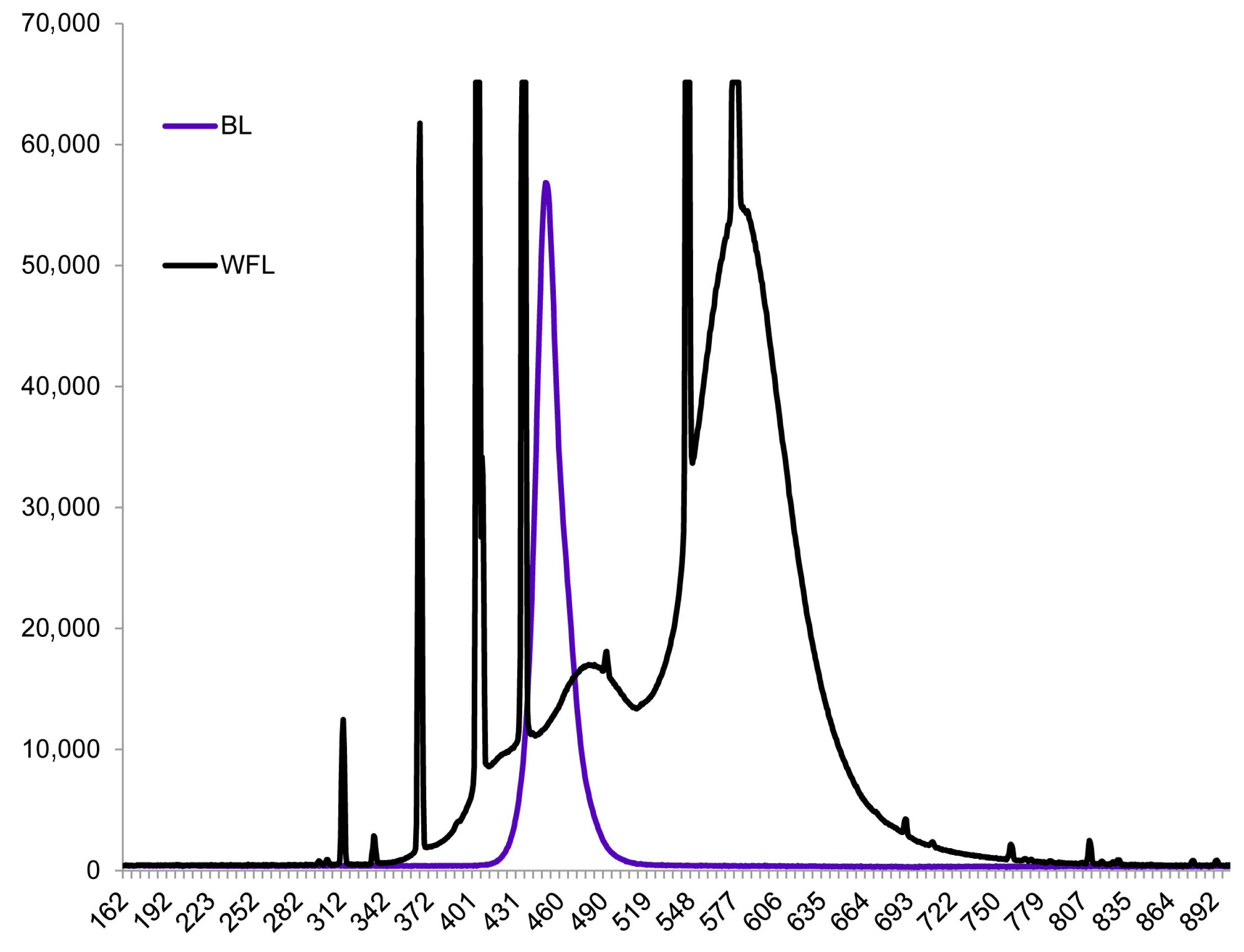 Antioxidants 13 00605 g001