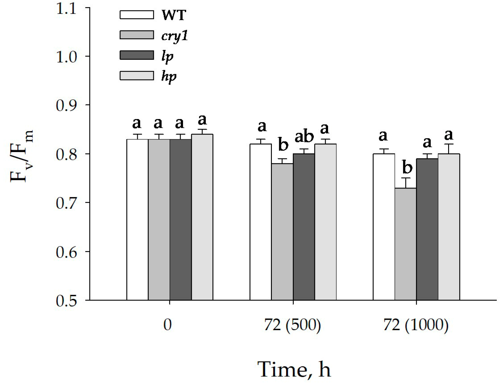 Antioxidants 13 00605 g003