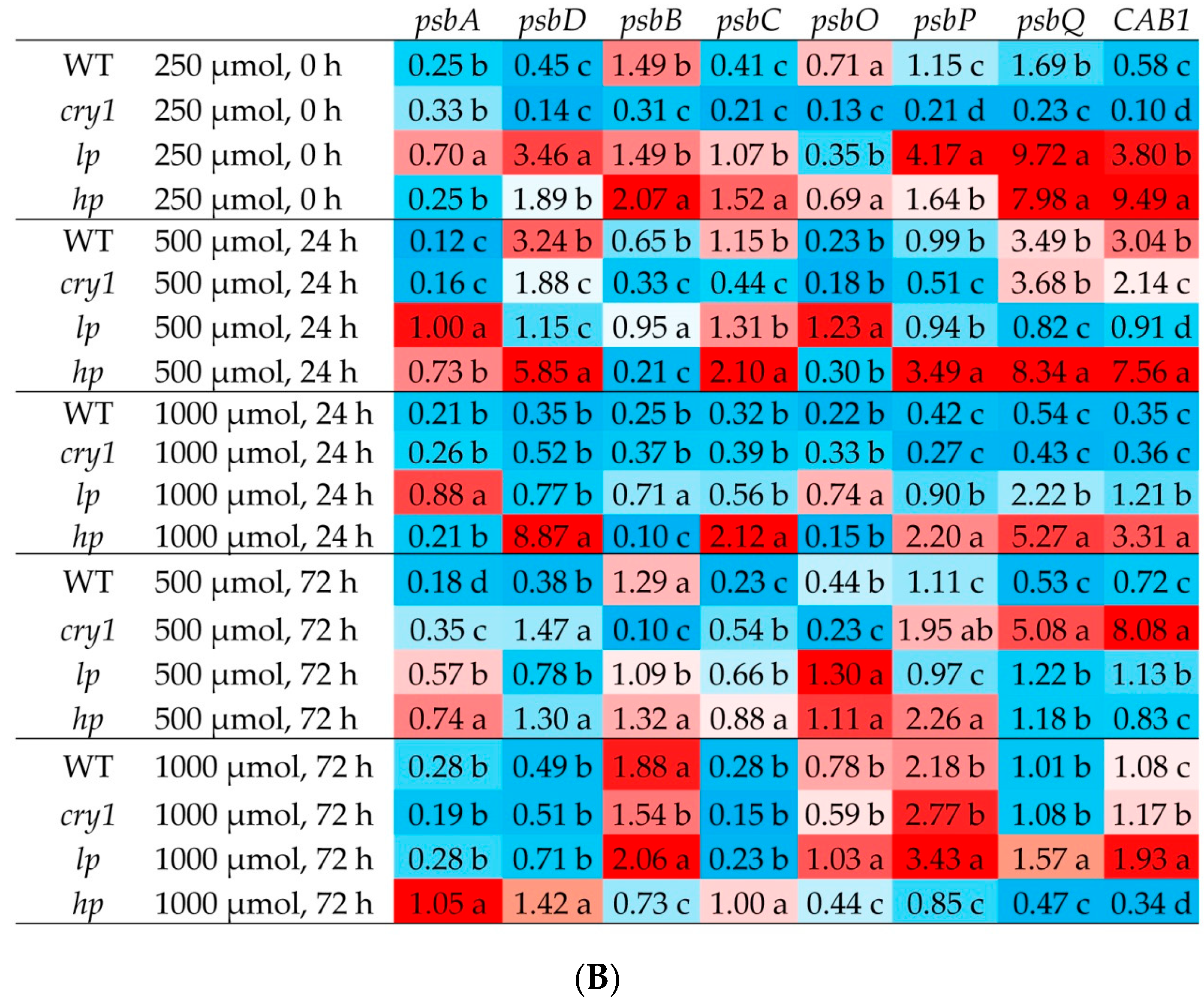 Antioxidants 13 00605 g005b