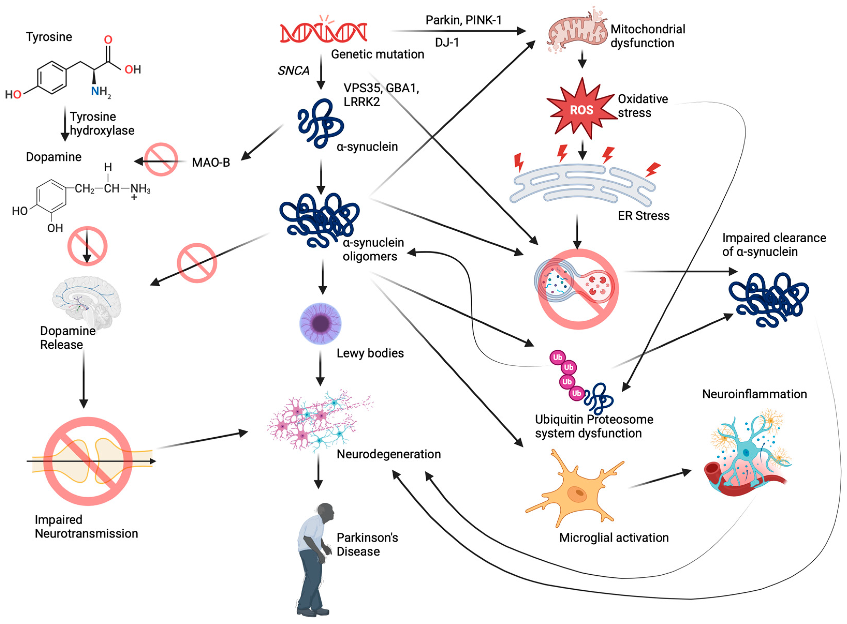 Antioxidants 13 00606 g003 Antioxidants 13 00606 g003