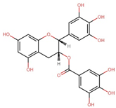 Antioxidants 13 00606 i003 Antioxidants 13 00606 i003