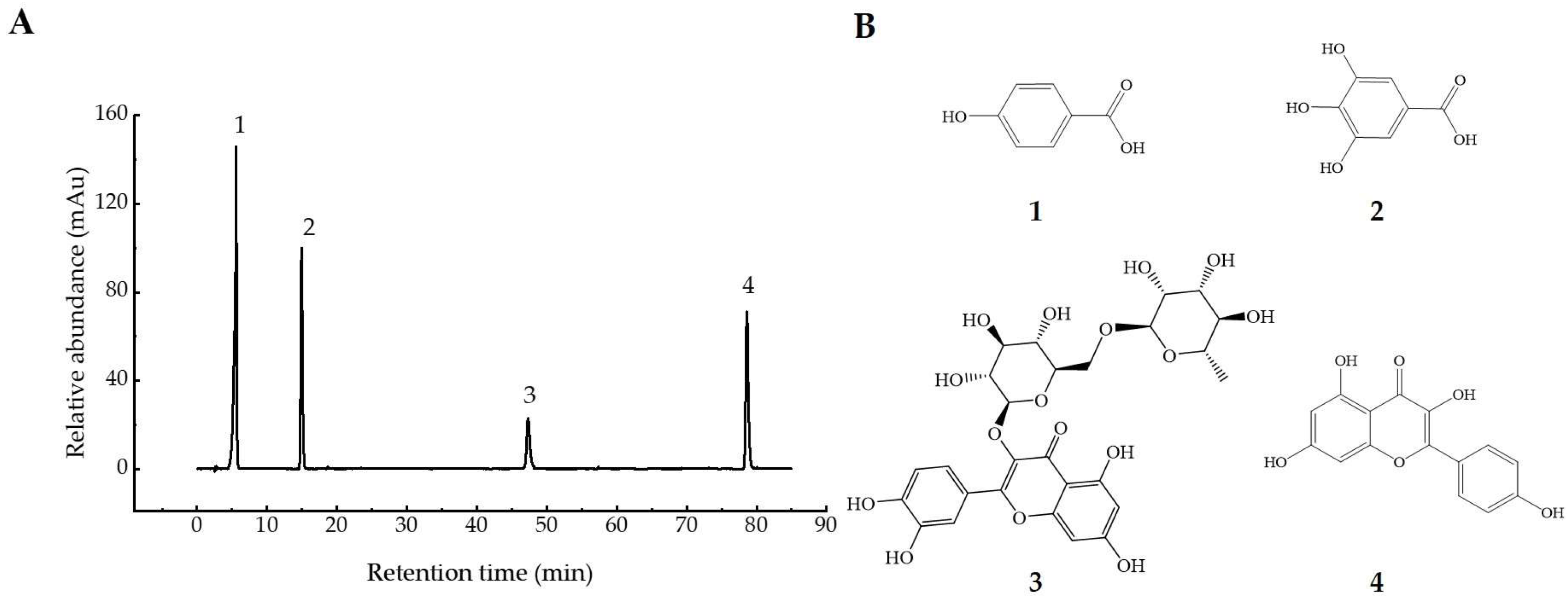 Antioxidants 13 00607 g006