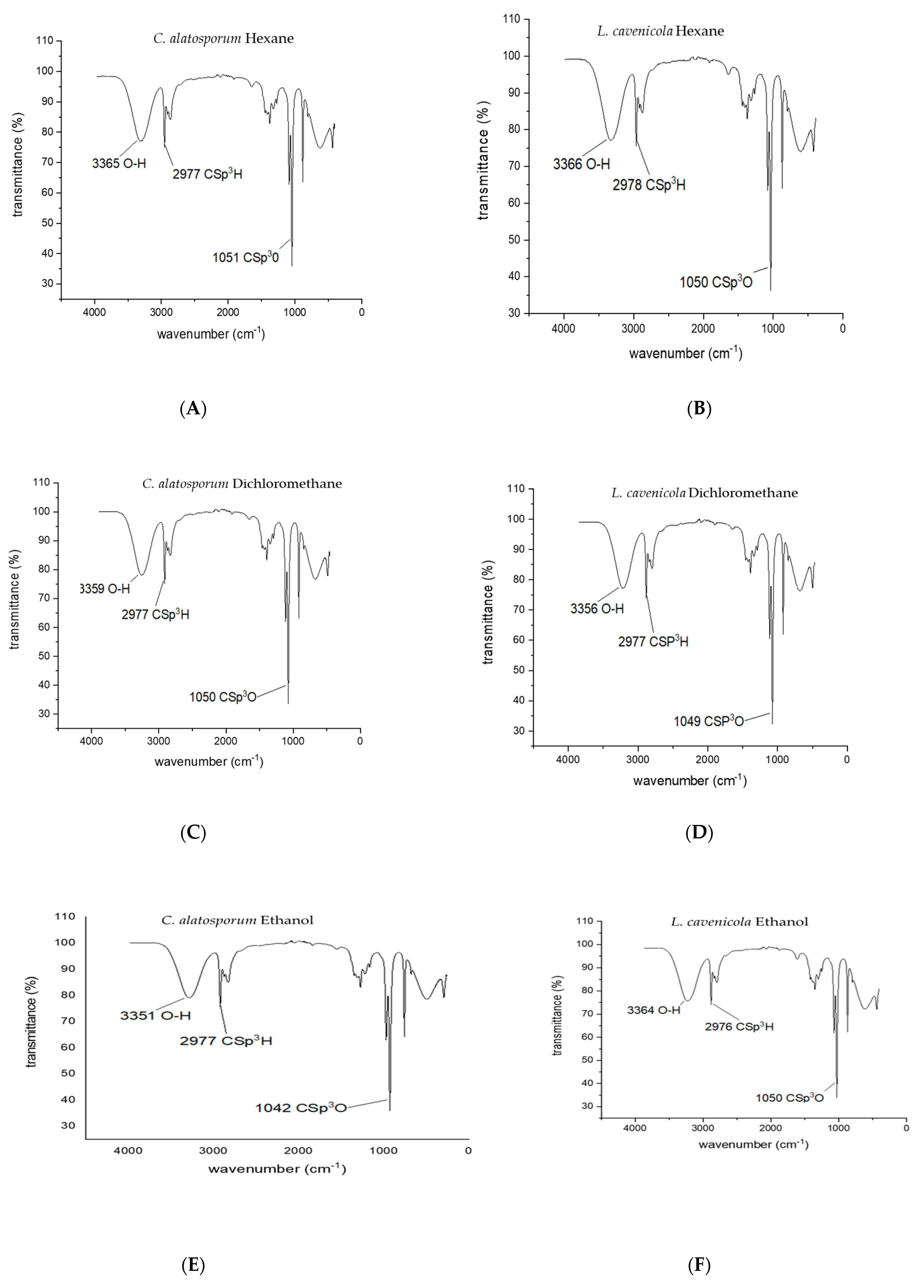 Antioxidants 13 00608 g001