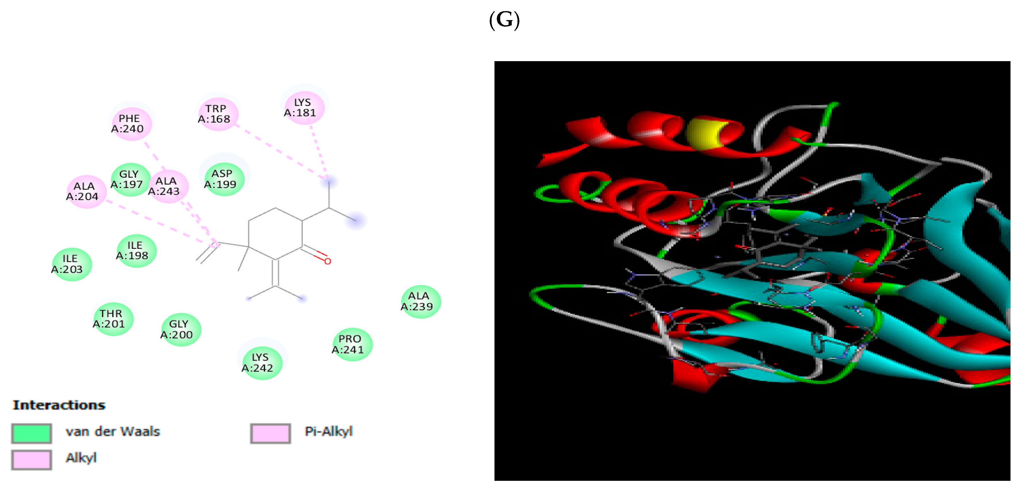 Antioxidants 13 00608 g004c