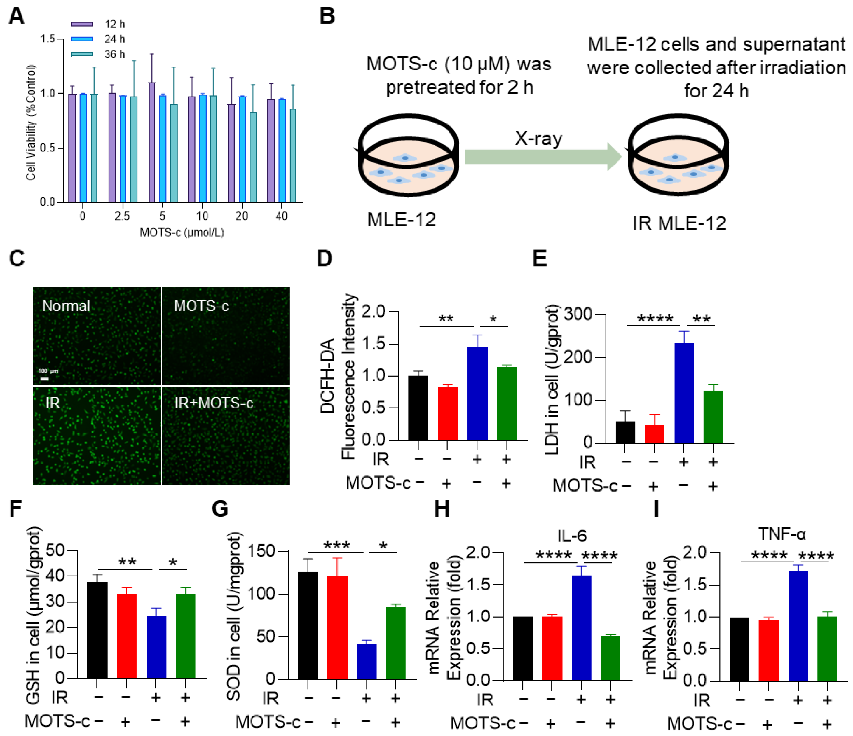 Antioxidants 13 00613 g003