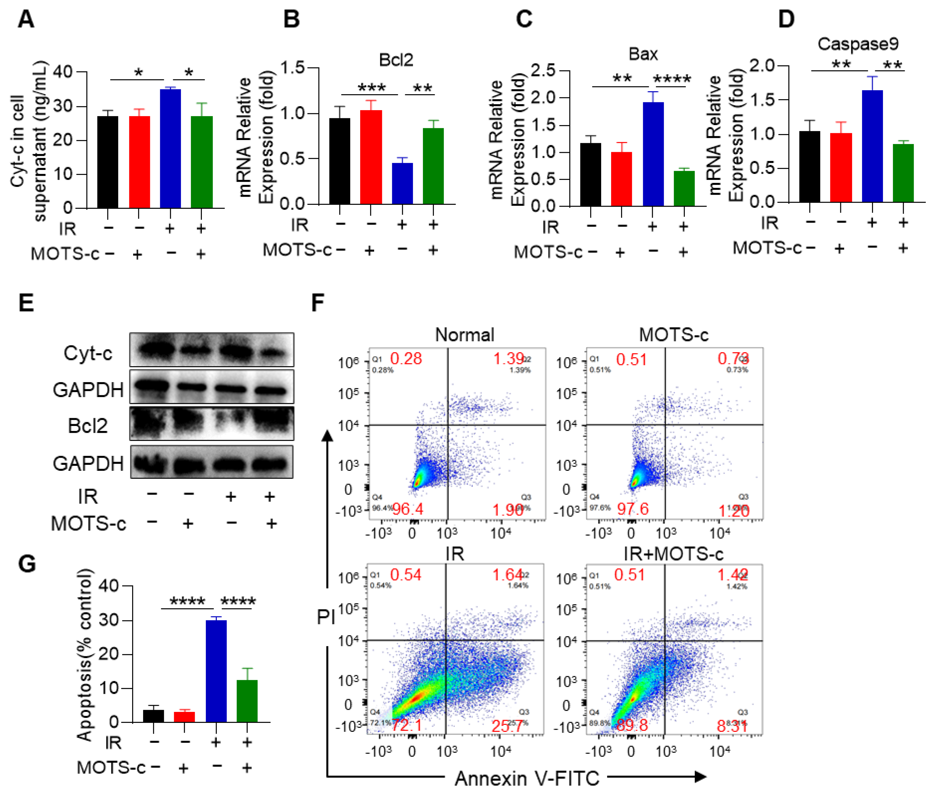 Antioxidants 13 00613 g004