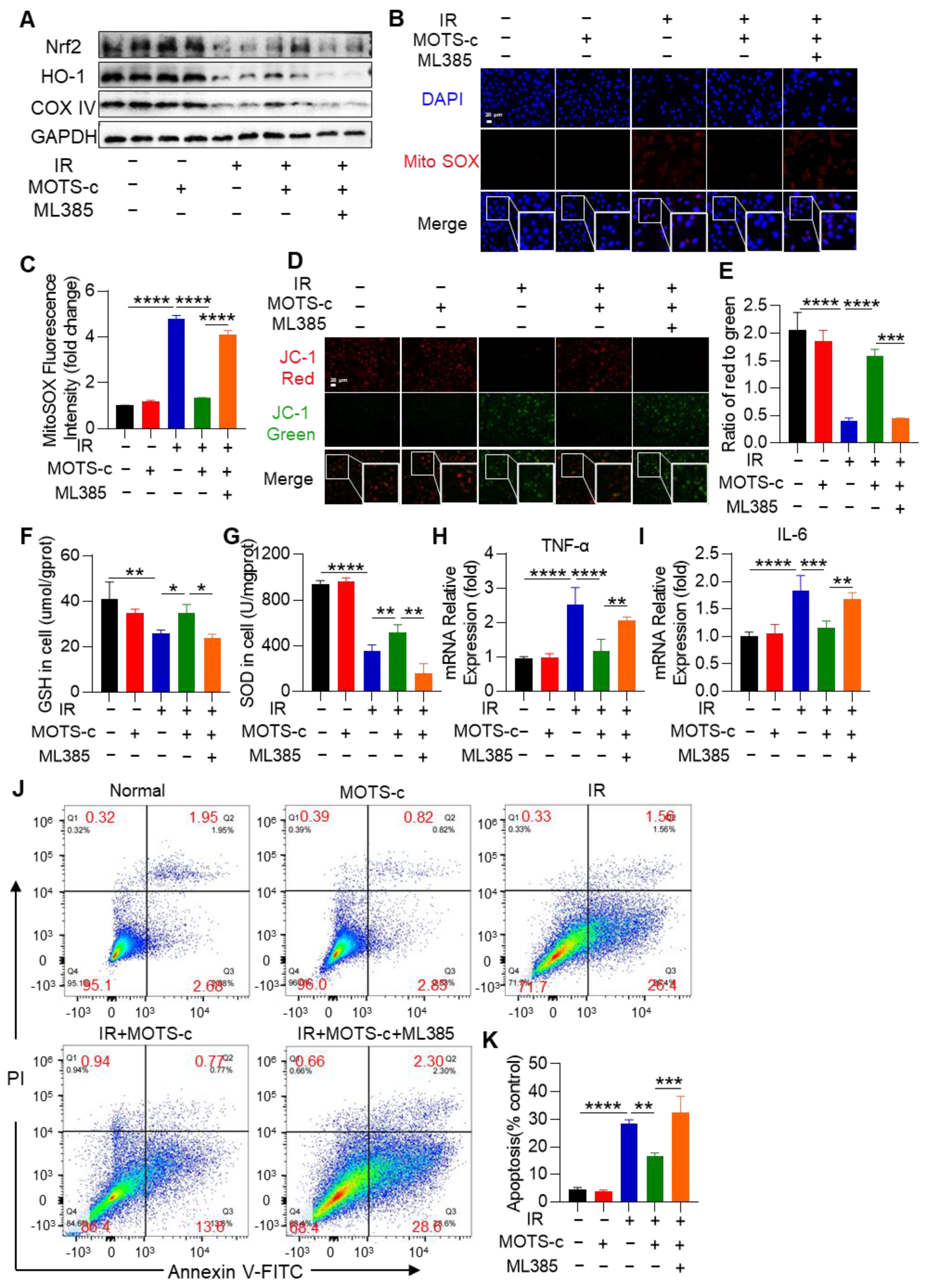Antioxidants 13 00613 g009