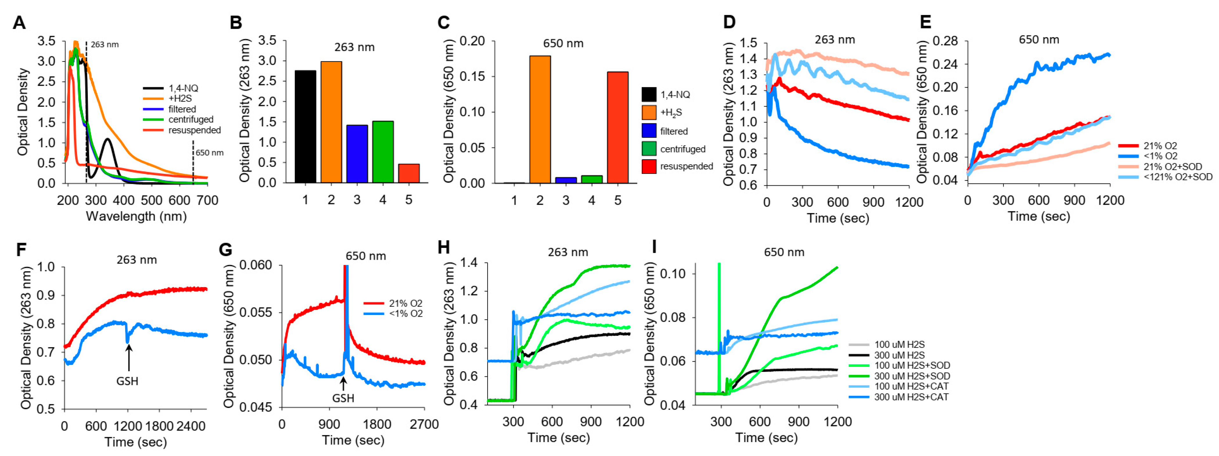 Antioxidants 13 00619 g006