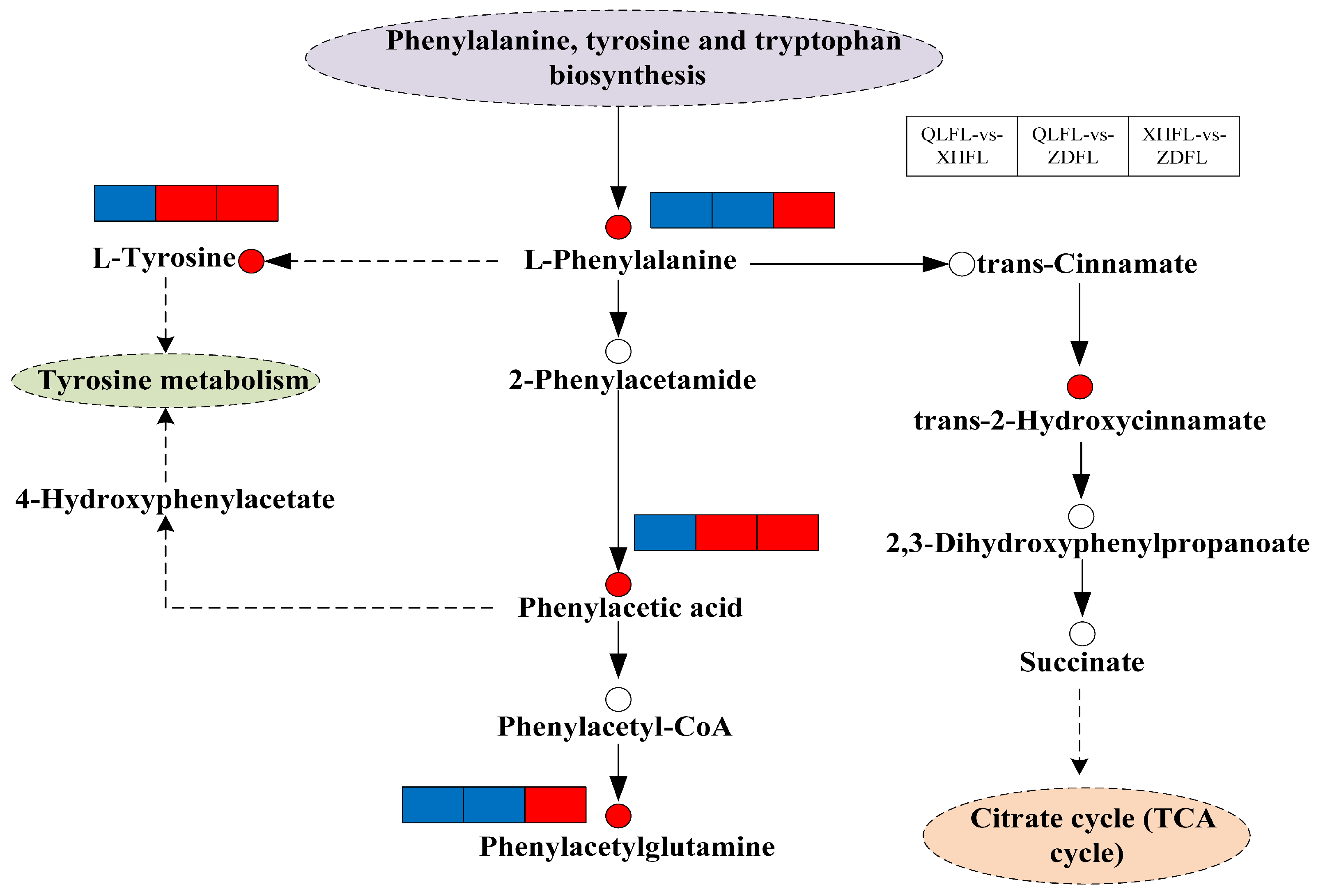 Antioxidants 13 00620 g006