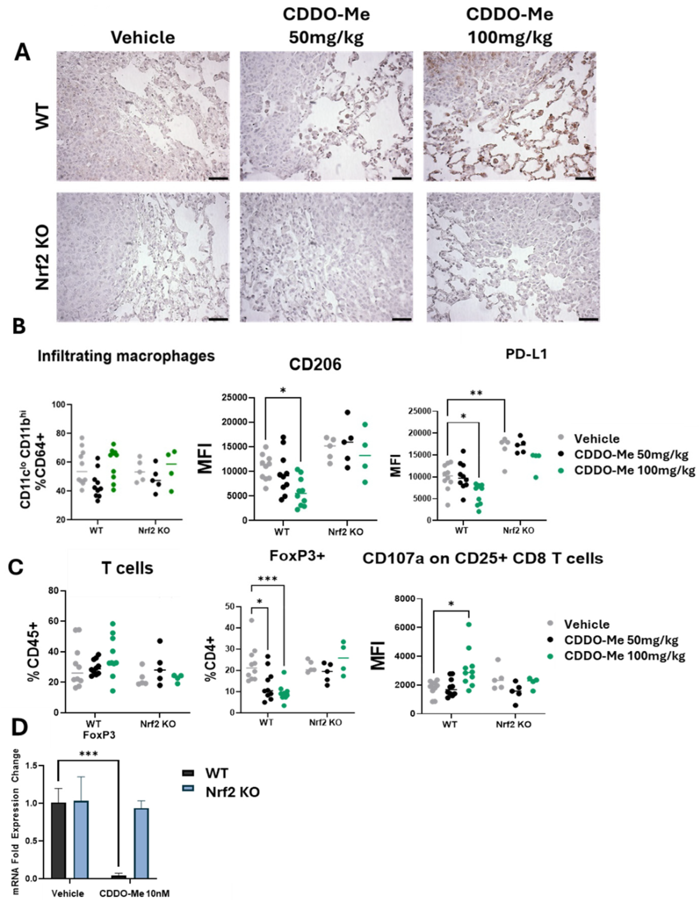 Antioxidants 13 00621 g002