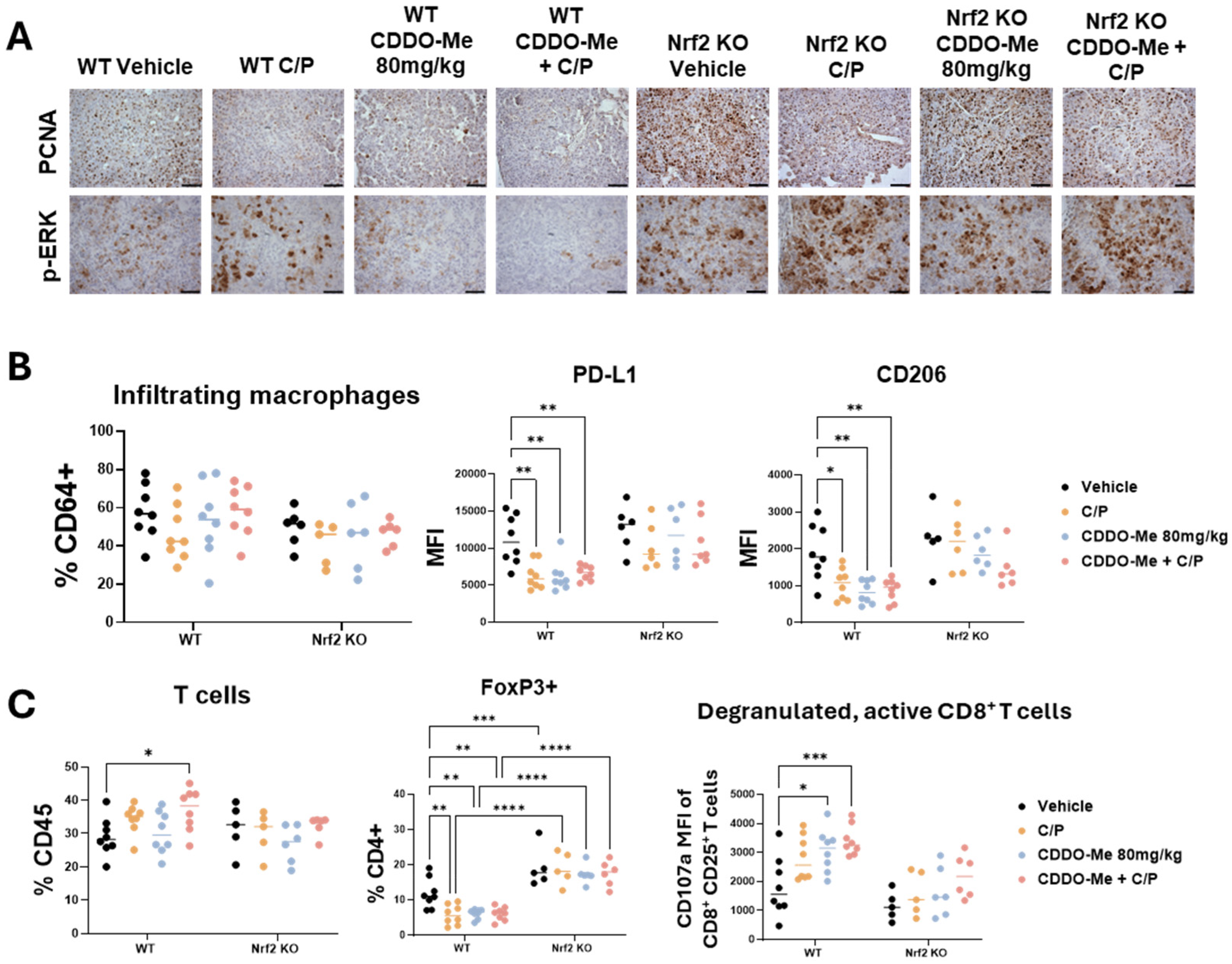 Antioxidants 13 00621 g004