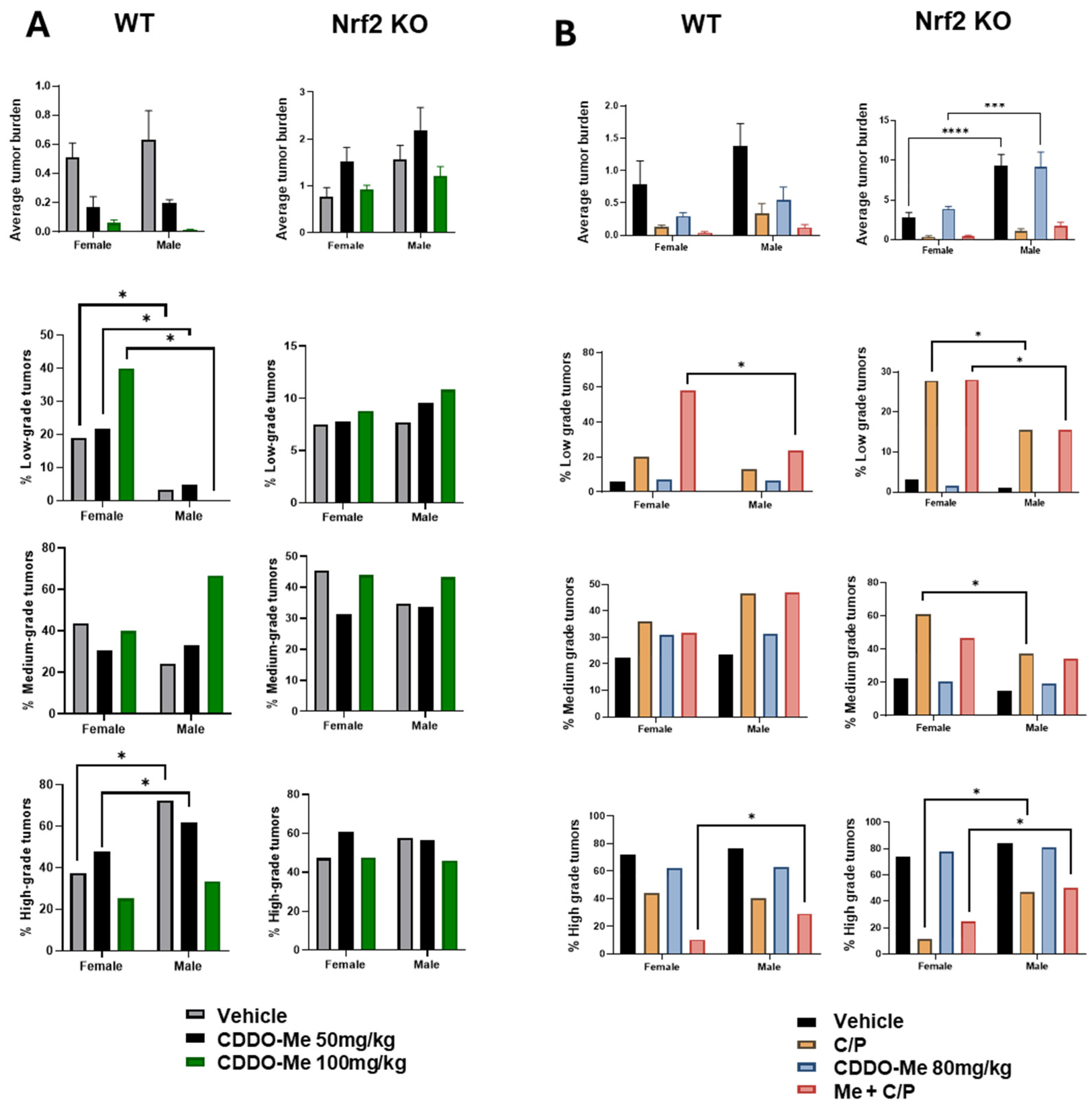 Antioxidants 13 00621 g006