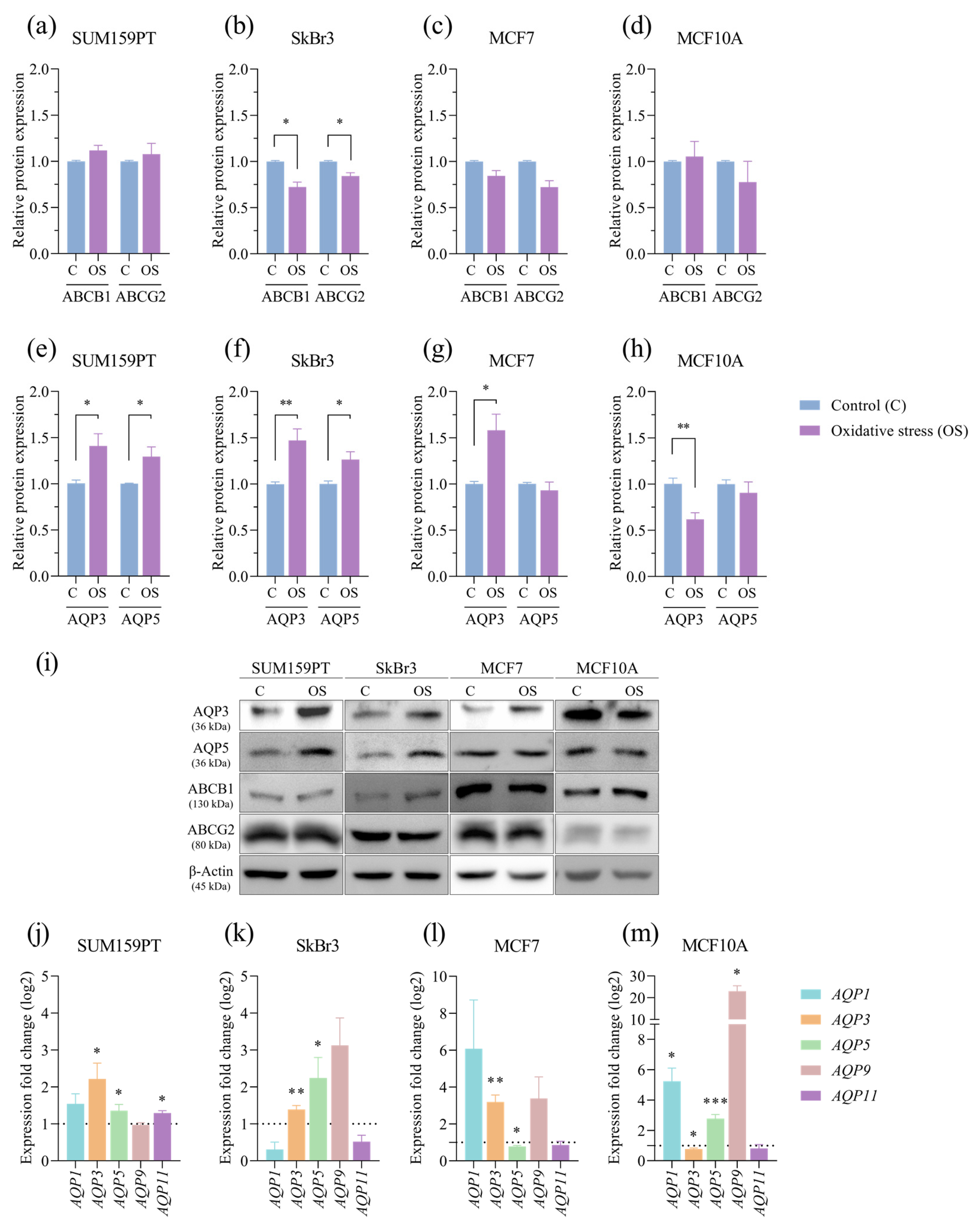 Antioxidants 13 00626 g006