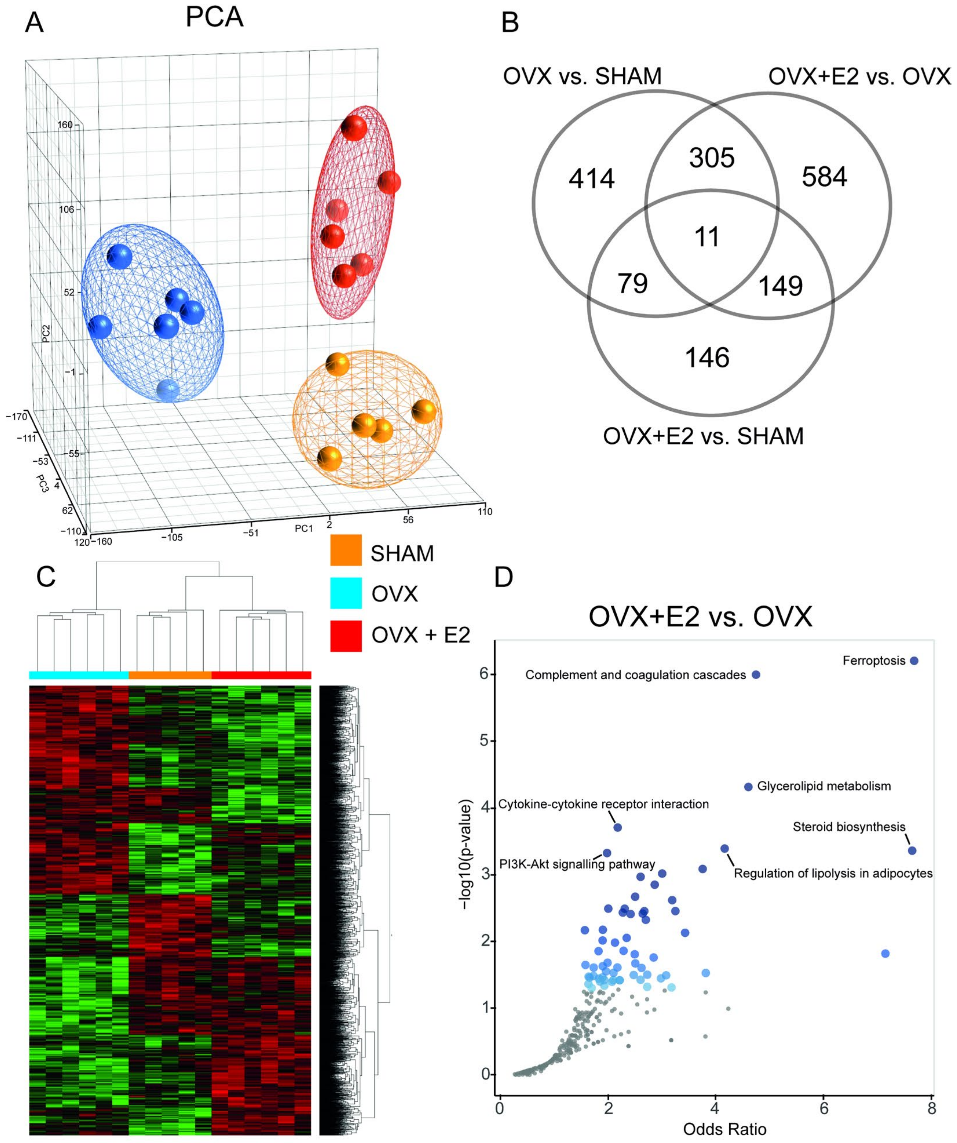 Antioxidants 13 00627 g005