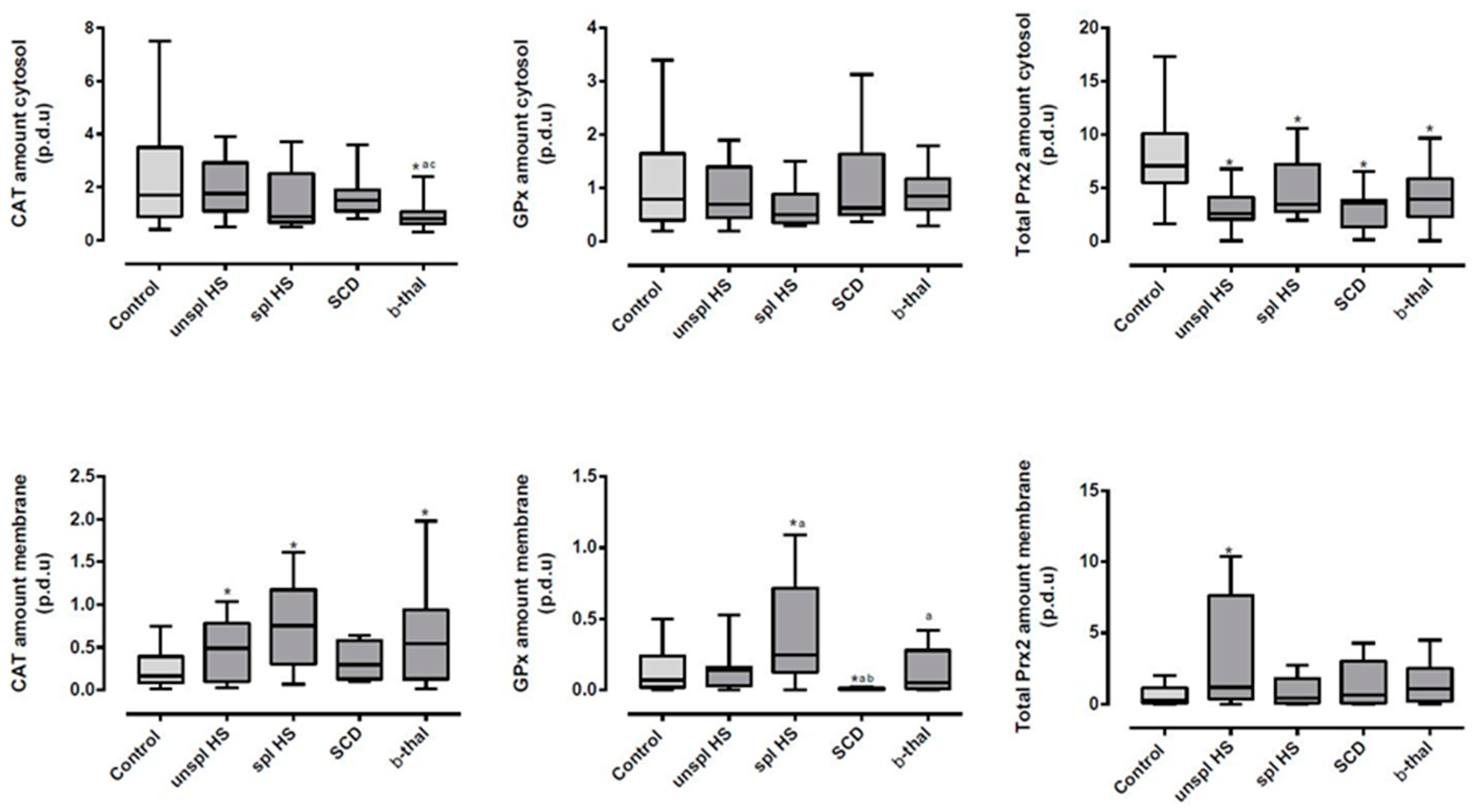 Antioxidants 13 00629 g001
