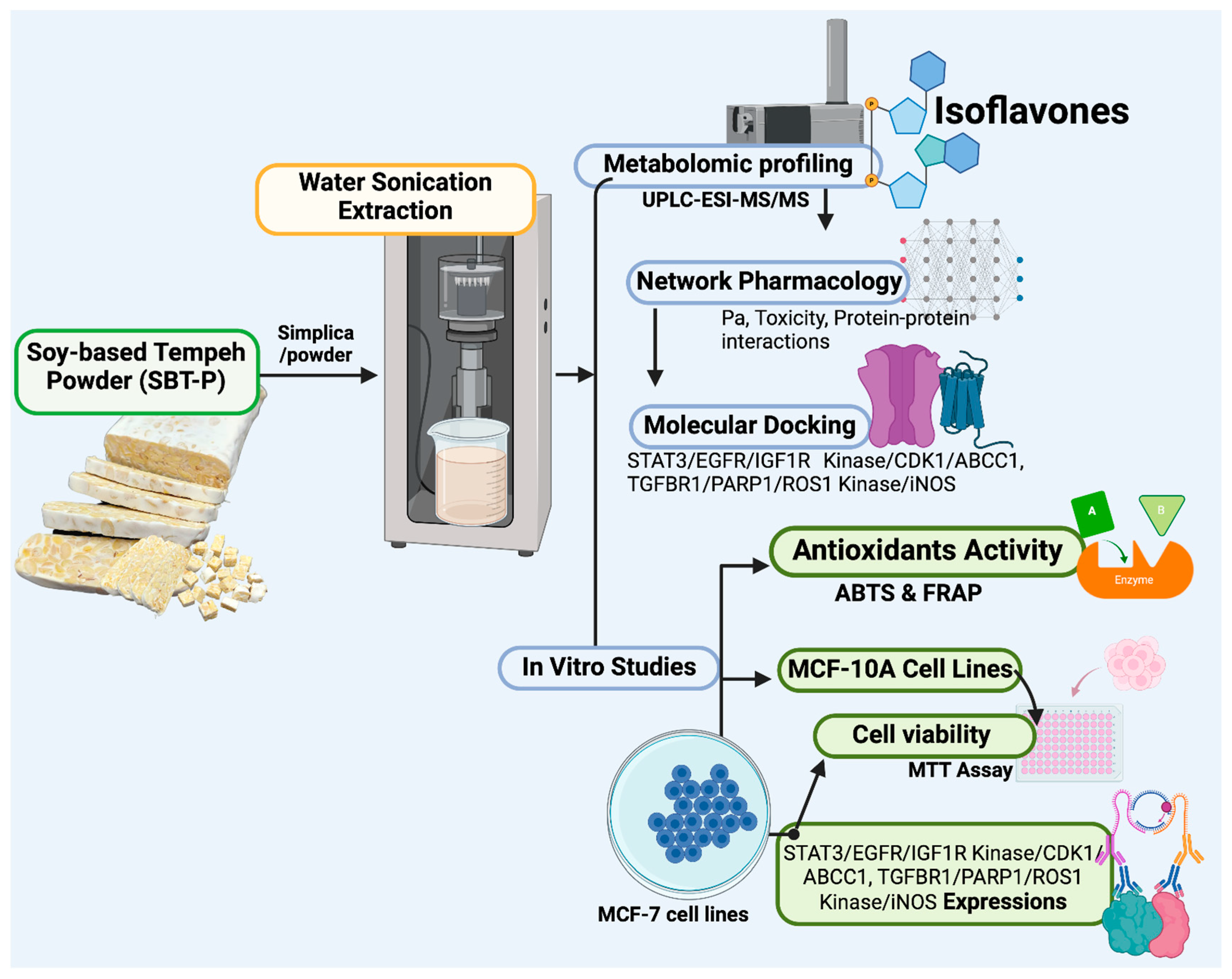 Antioxidants 13 00632 g001