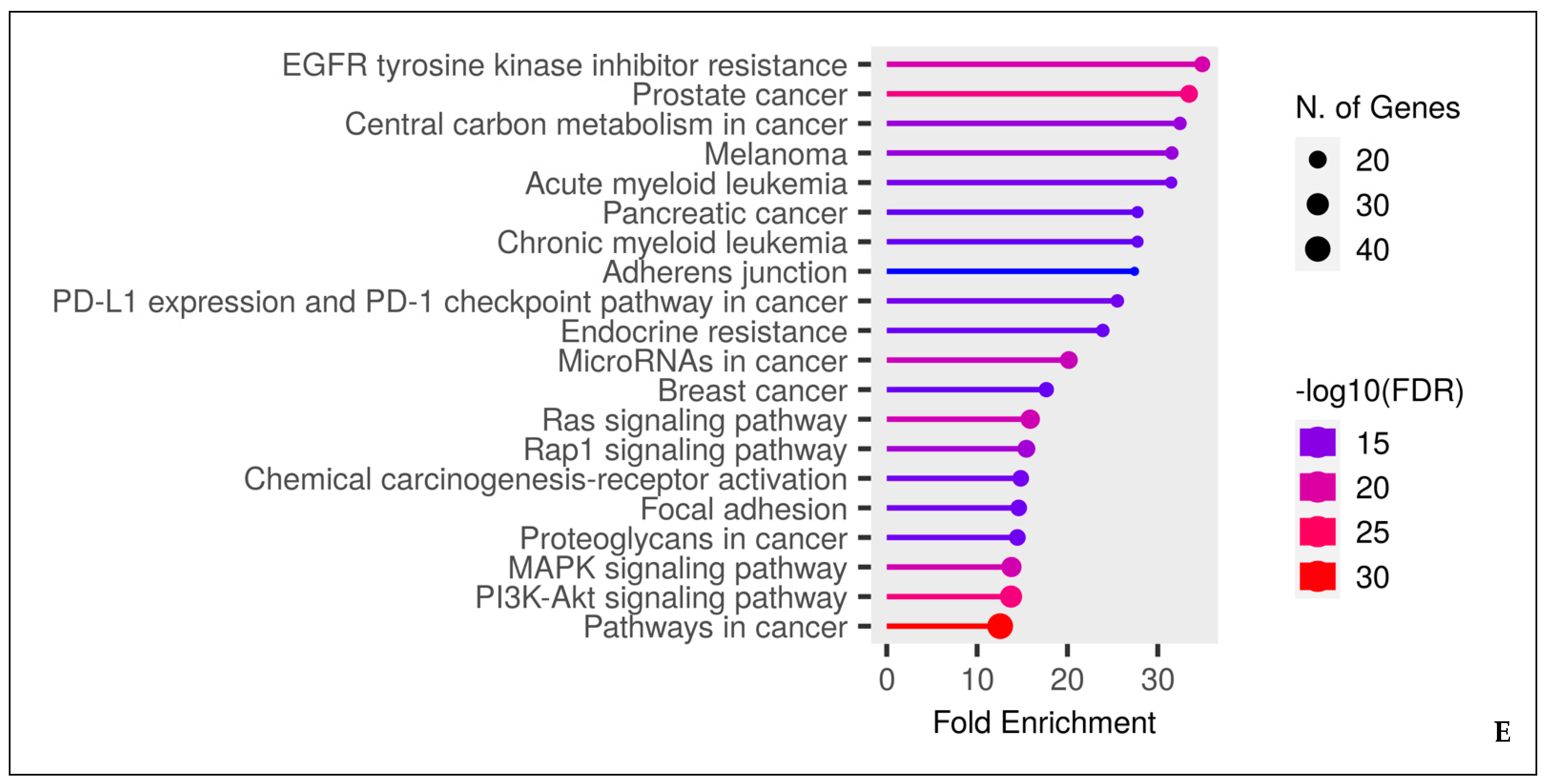 Antioxidants 13 00632 g002b