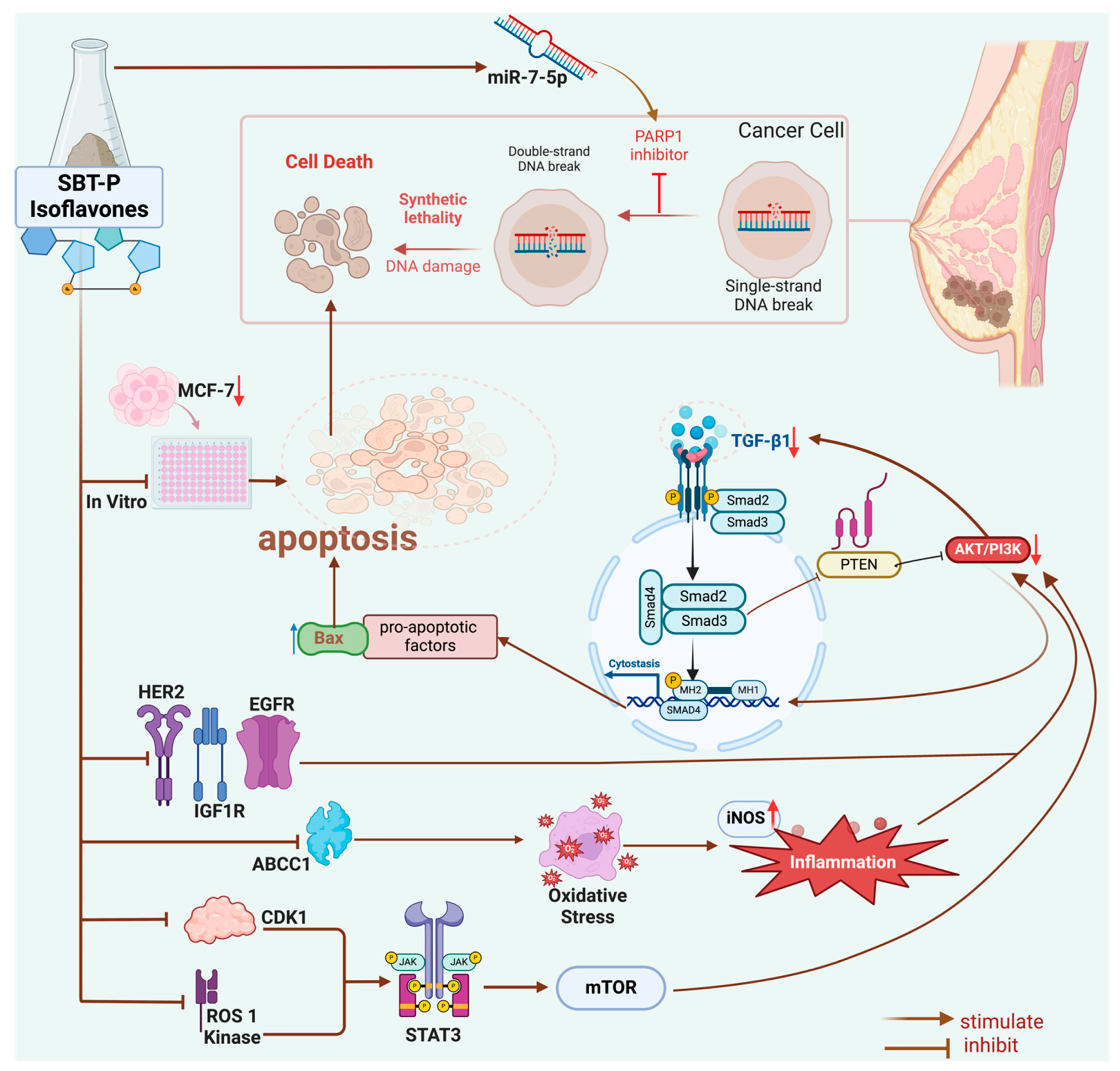 Antioxidants 13 00632 g006