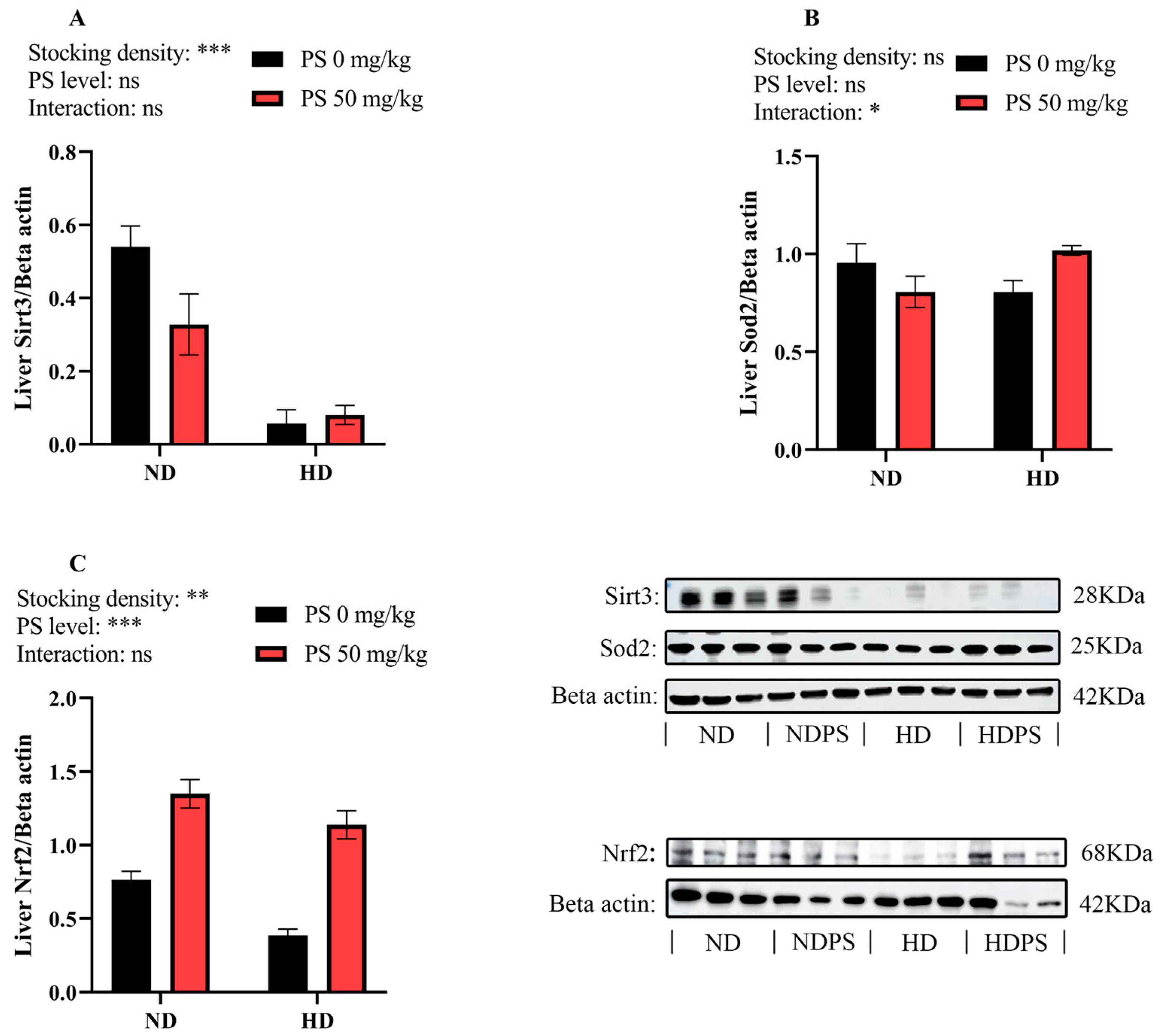 Antioxidants 13 00644 g005