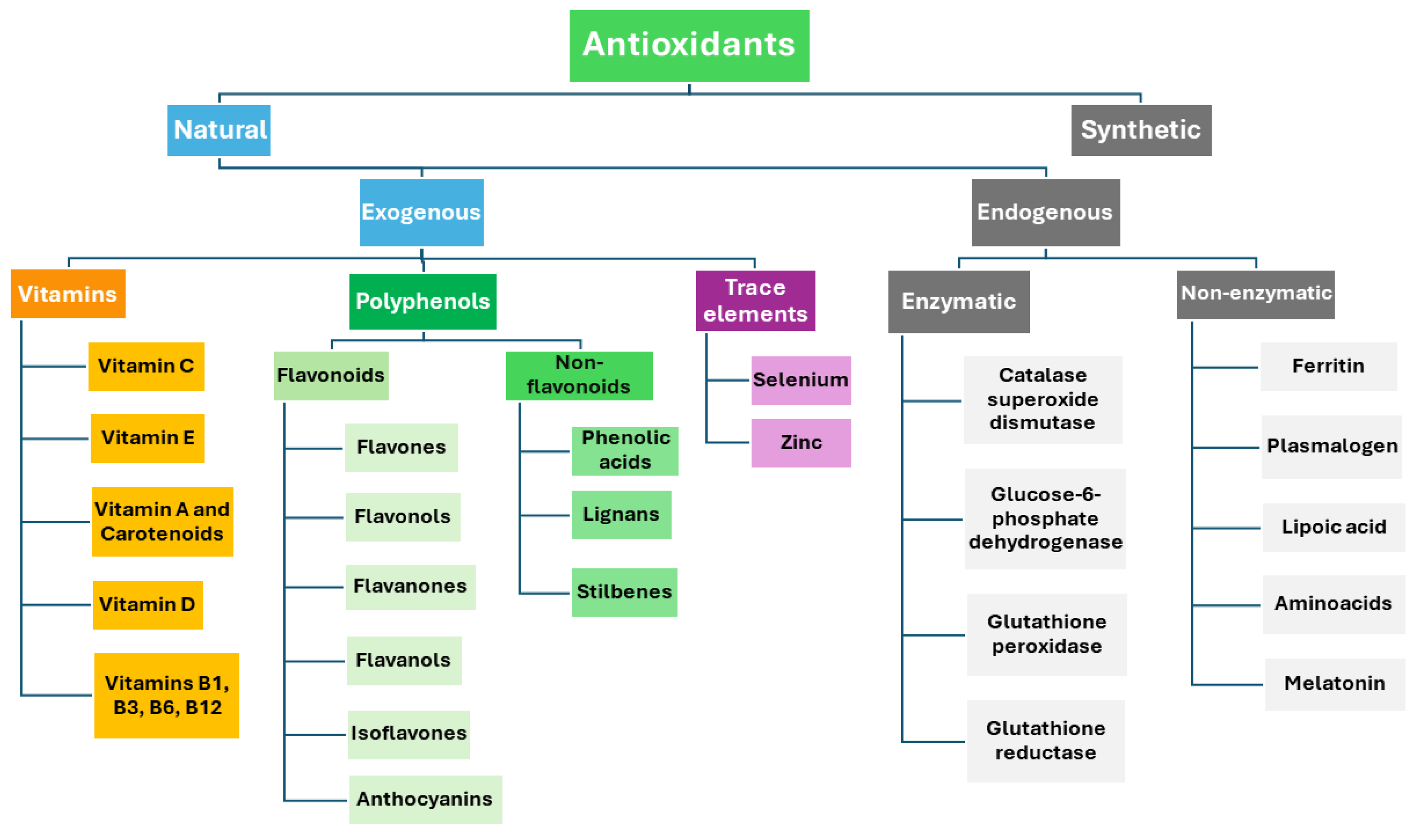 Antioxidants 13 00645 g001