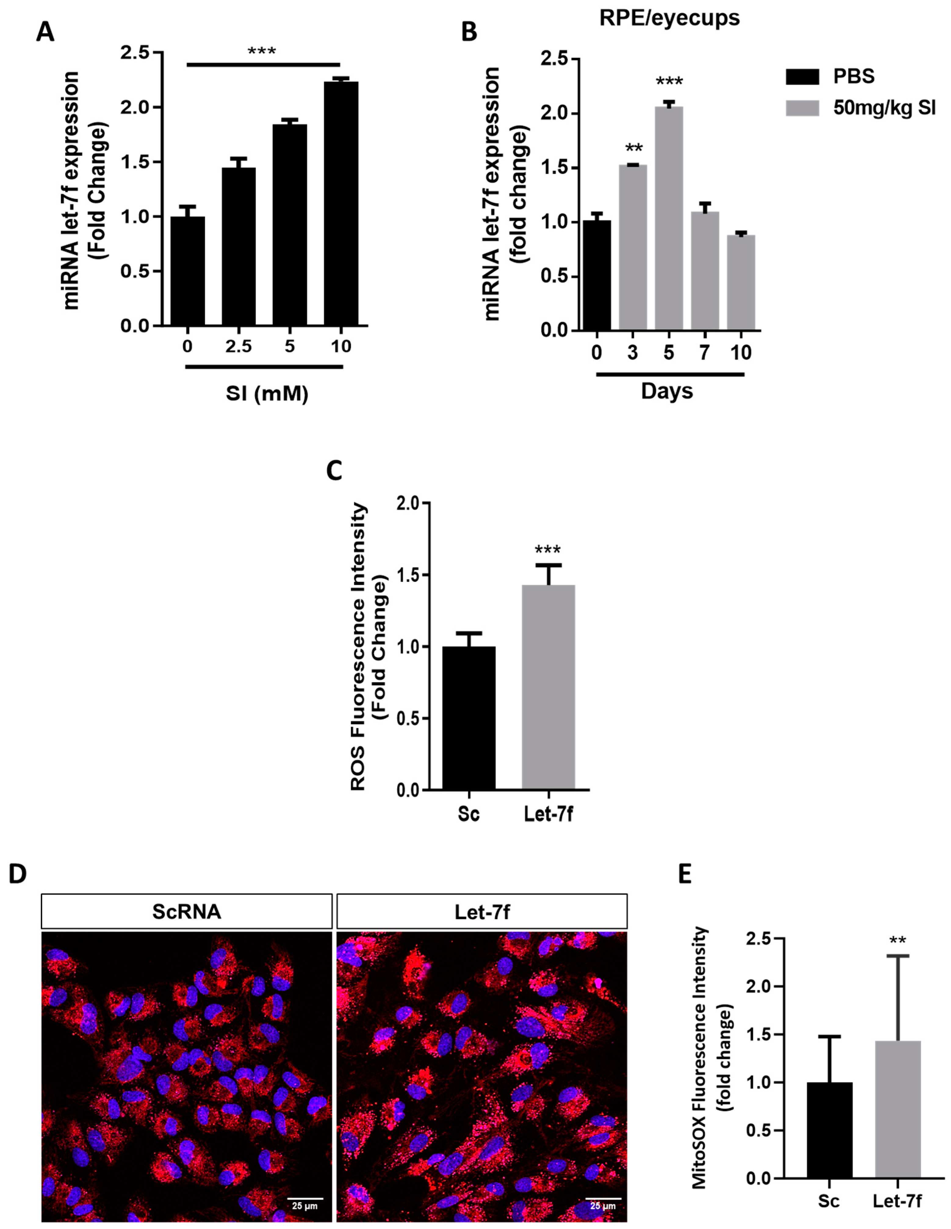 Antioxidants 13 00646 g001 Antioxidants 13 00646 g001