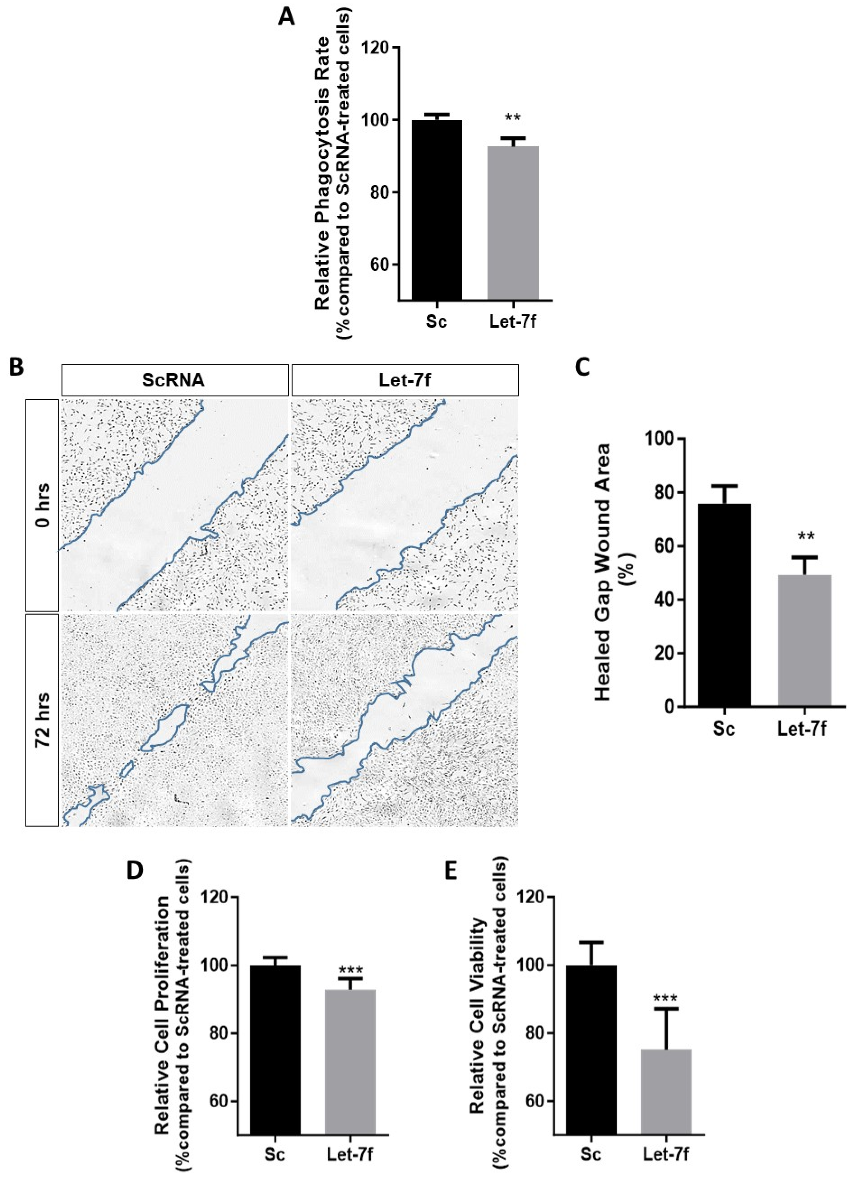 Antioxidants 13 00646 g002 Antioxidants 13 00646 g002