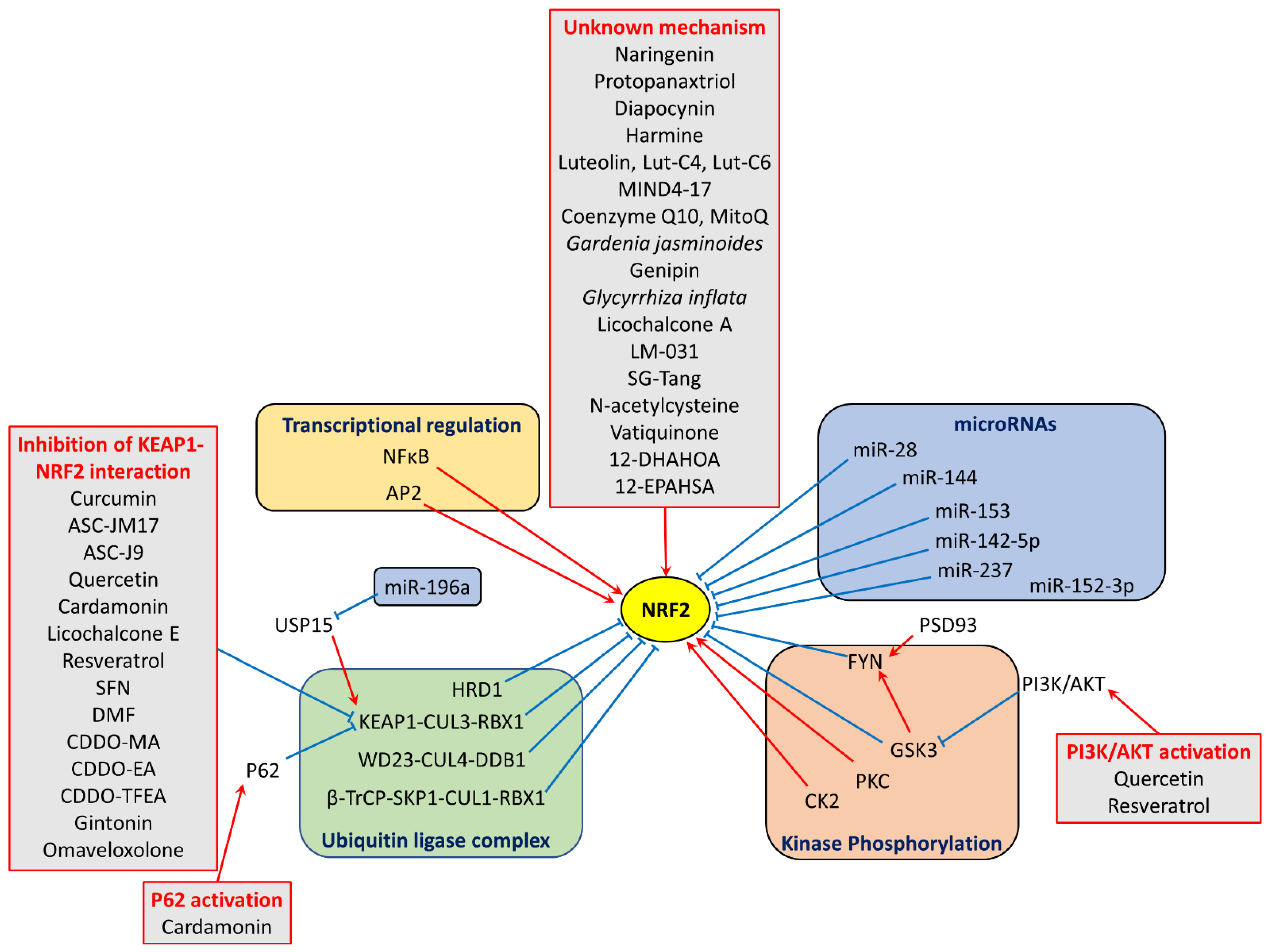 Antioxidants 13 00649 g002