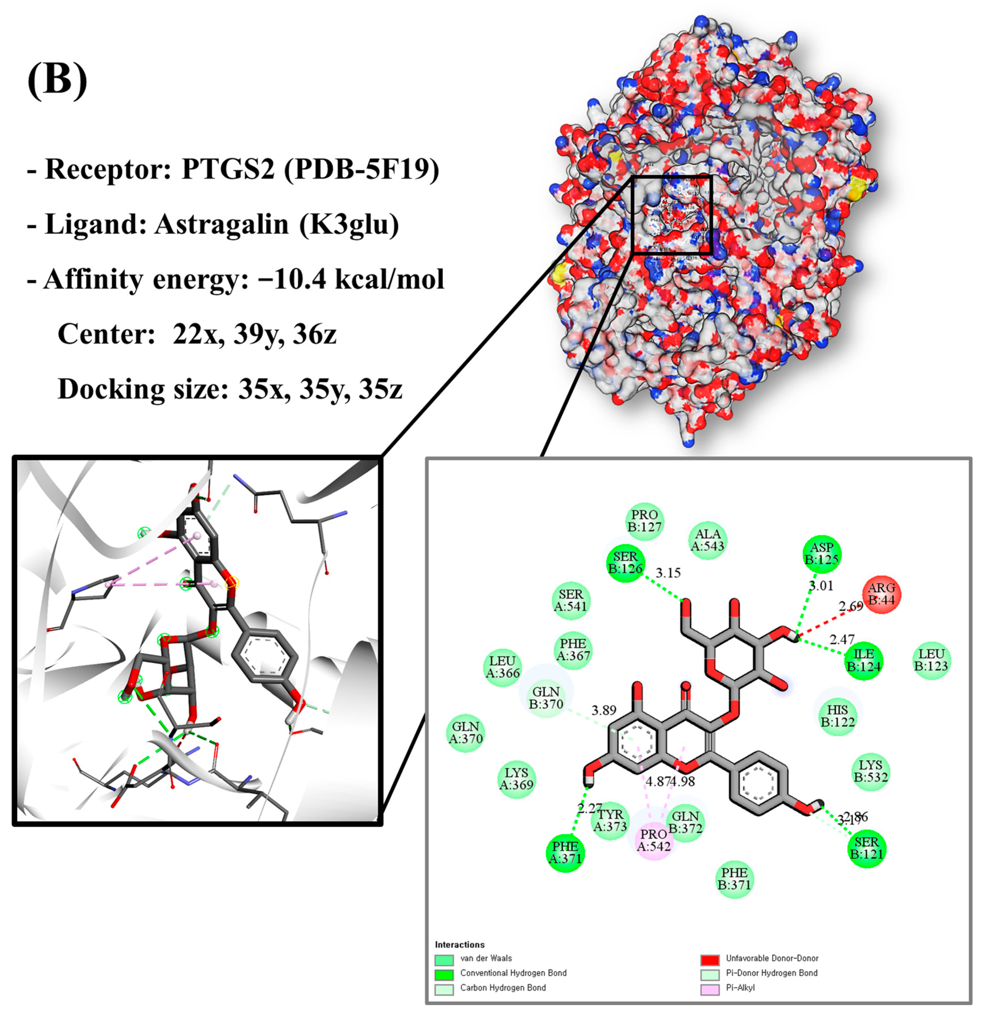 Antioxidants 13 00652 g007b