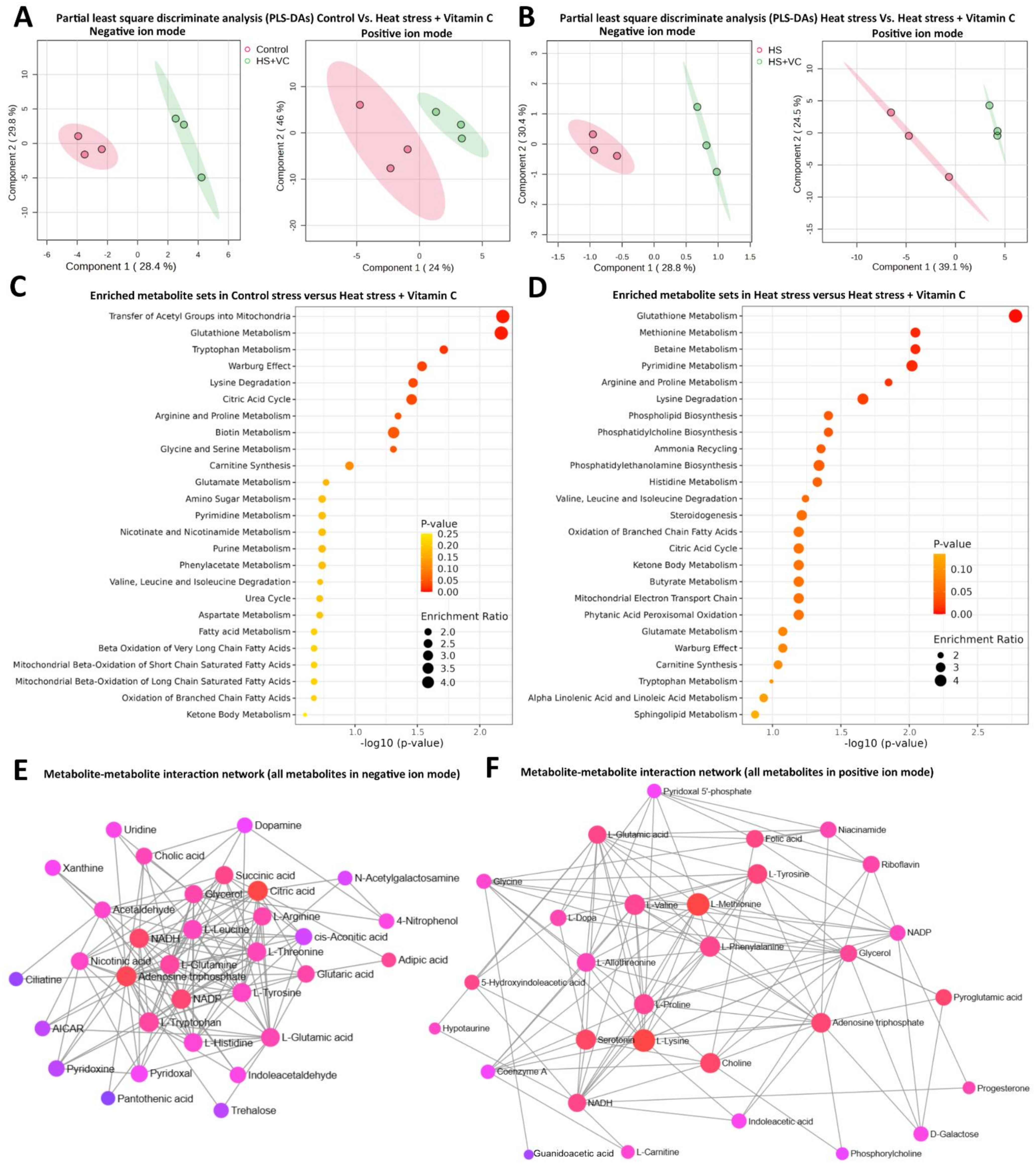 Antioxidants 13 00653 g003