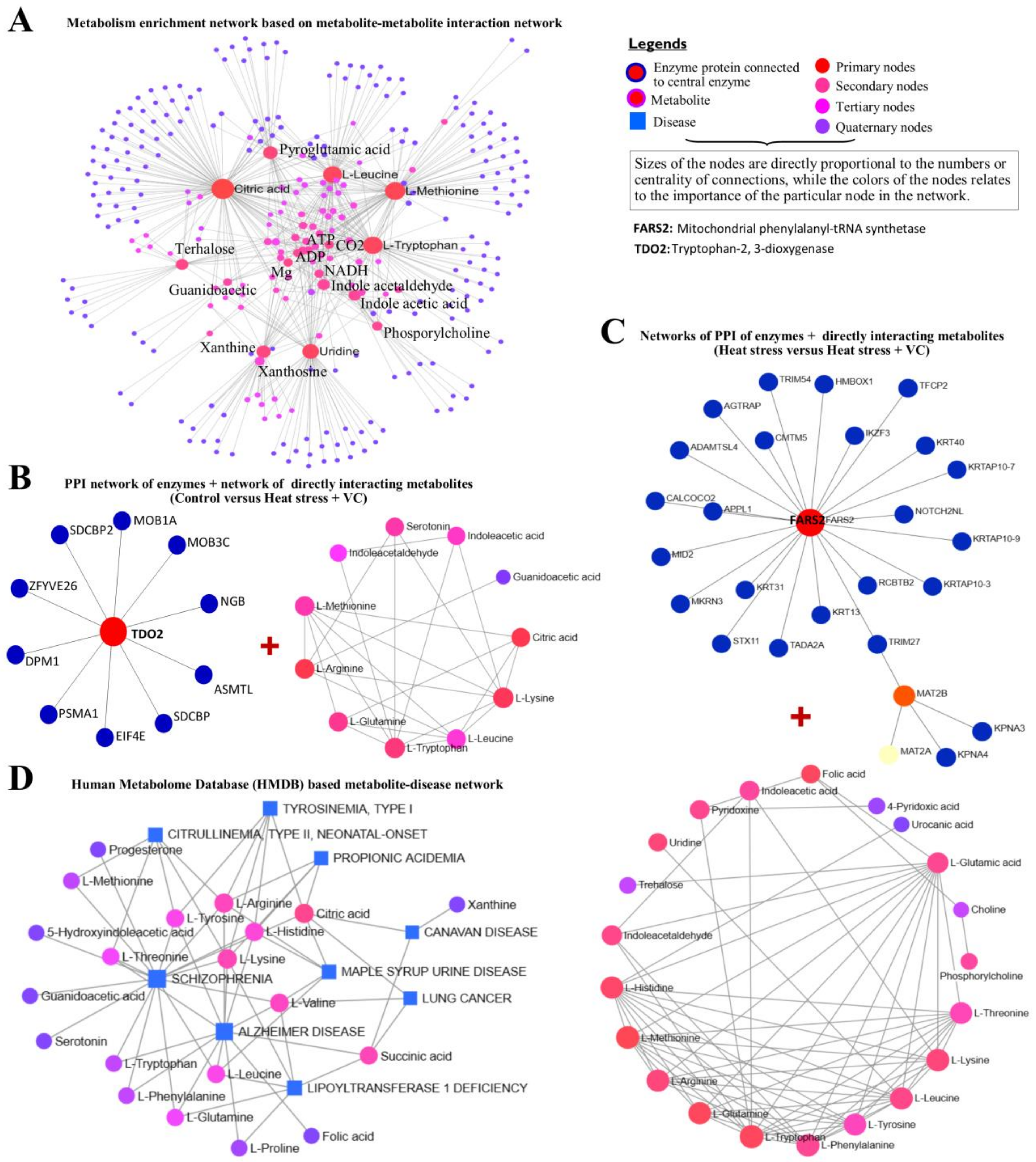Antioxidants 13 00653 g005