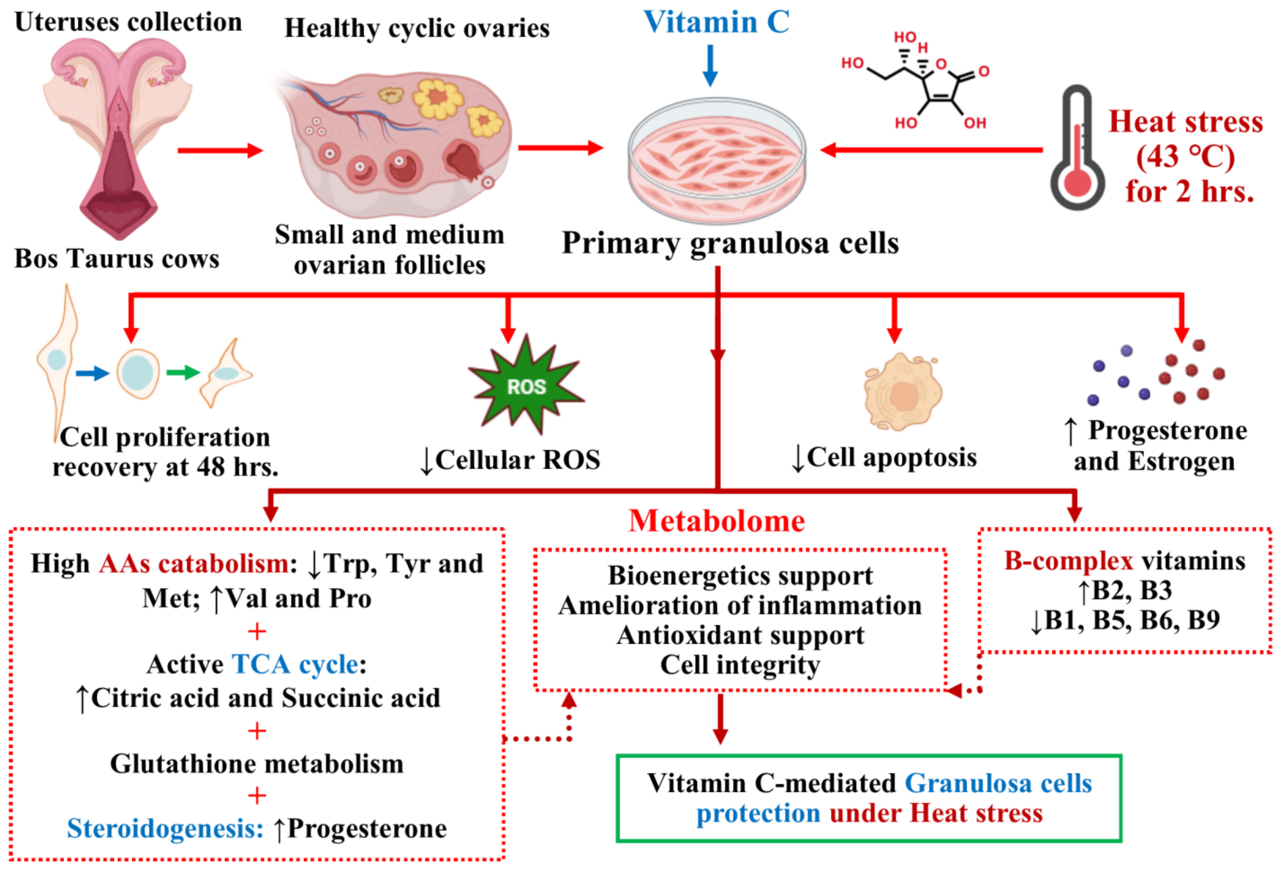 Antioxidants 13 00653 g006