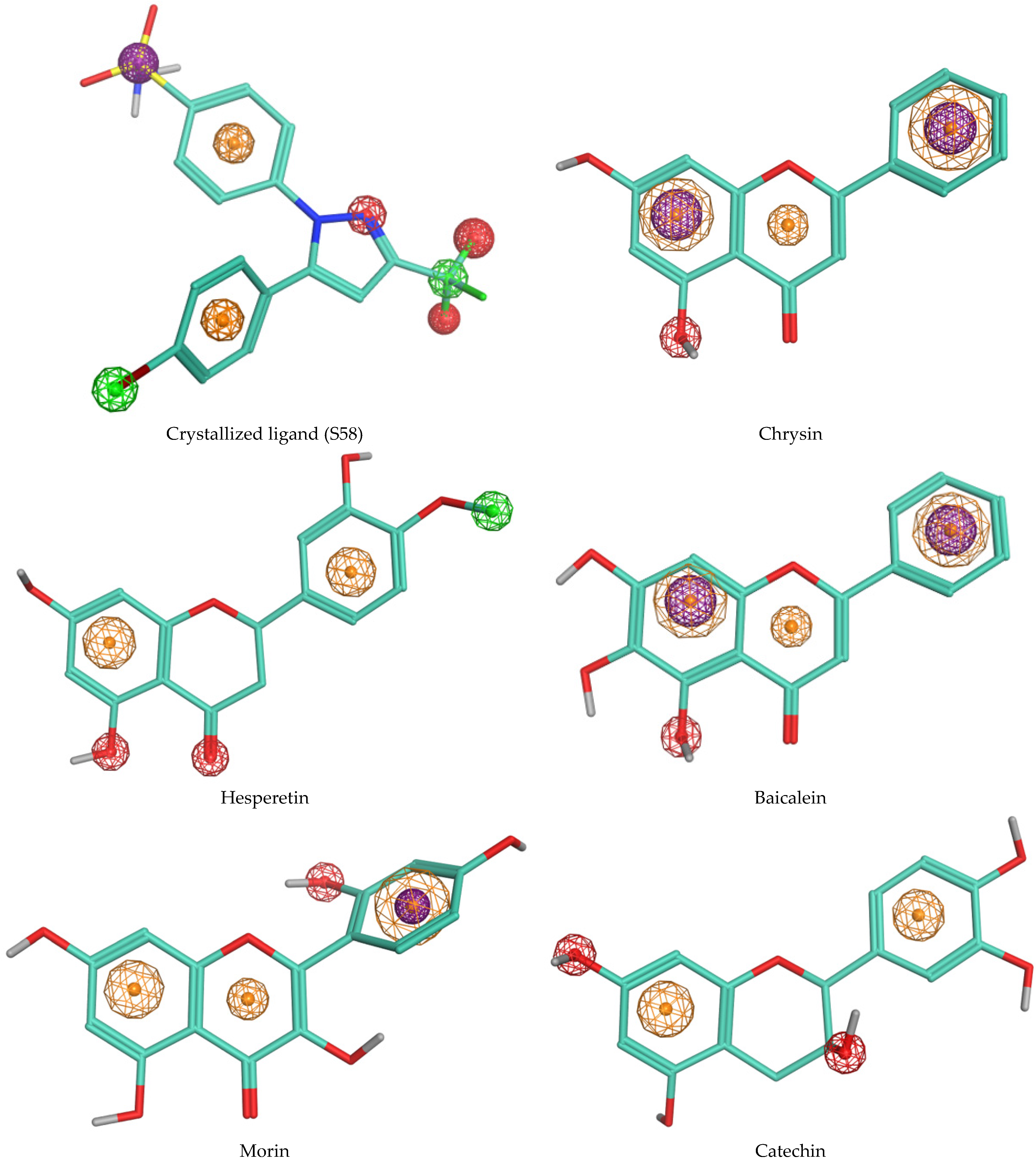 Antioxidants 13 00654 g002