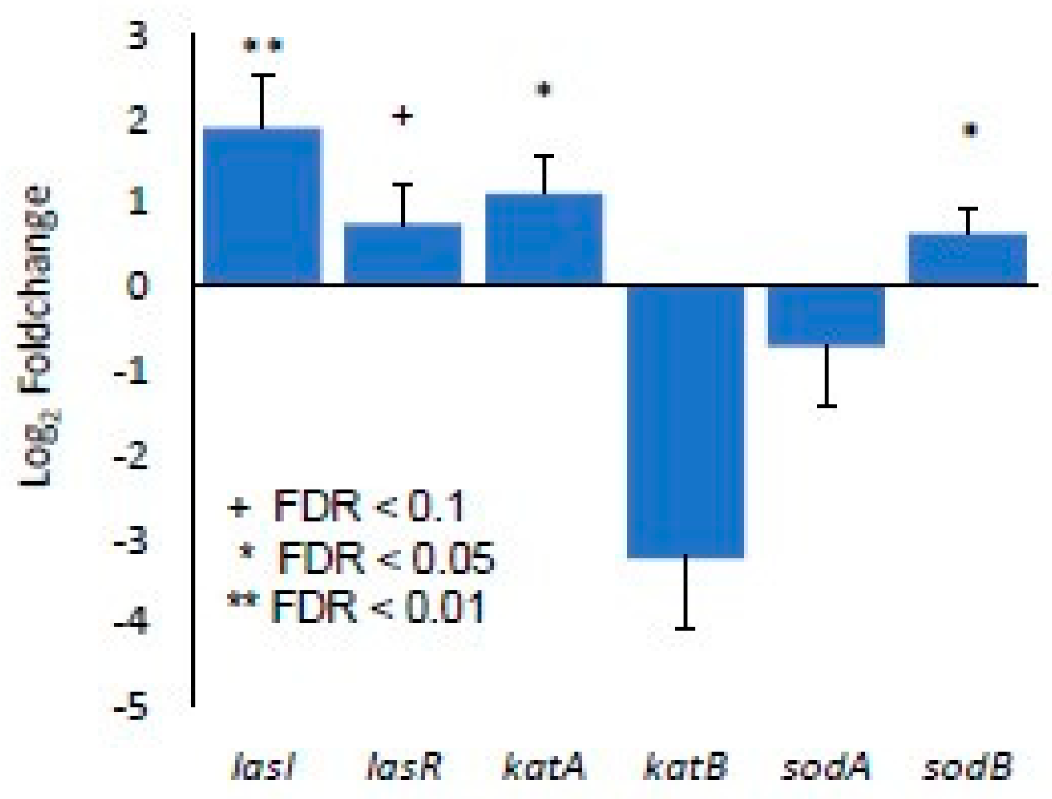 Antioxidants 13 00655 g006