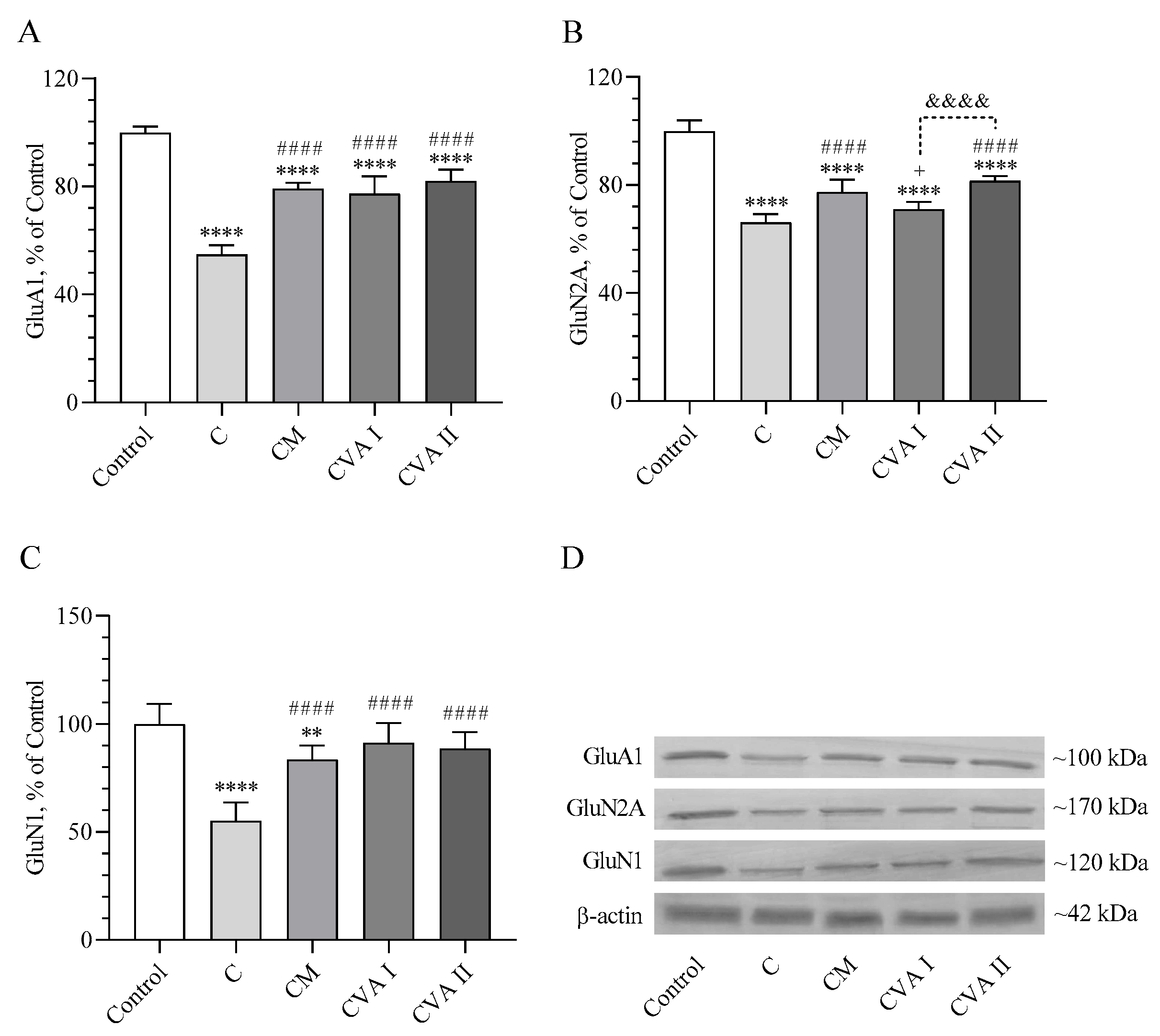 Antioxidants 13 00657 g005