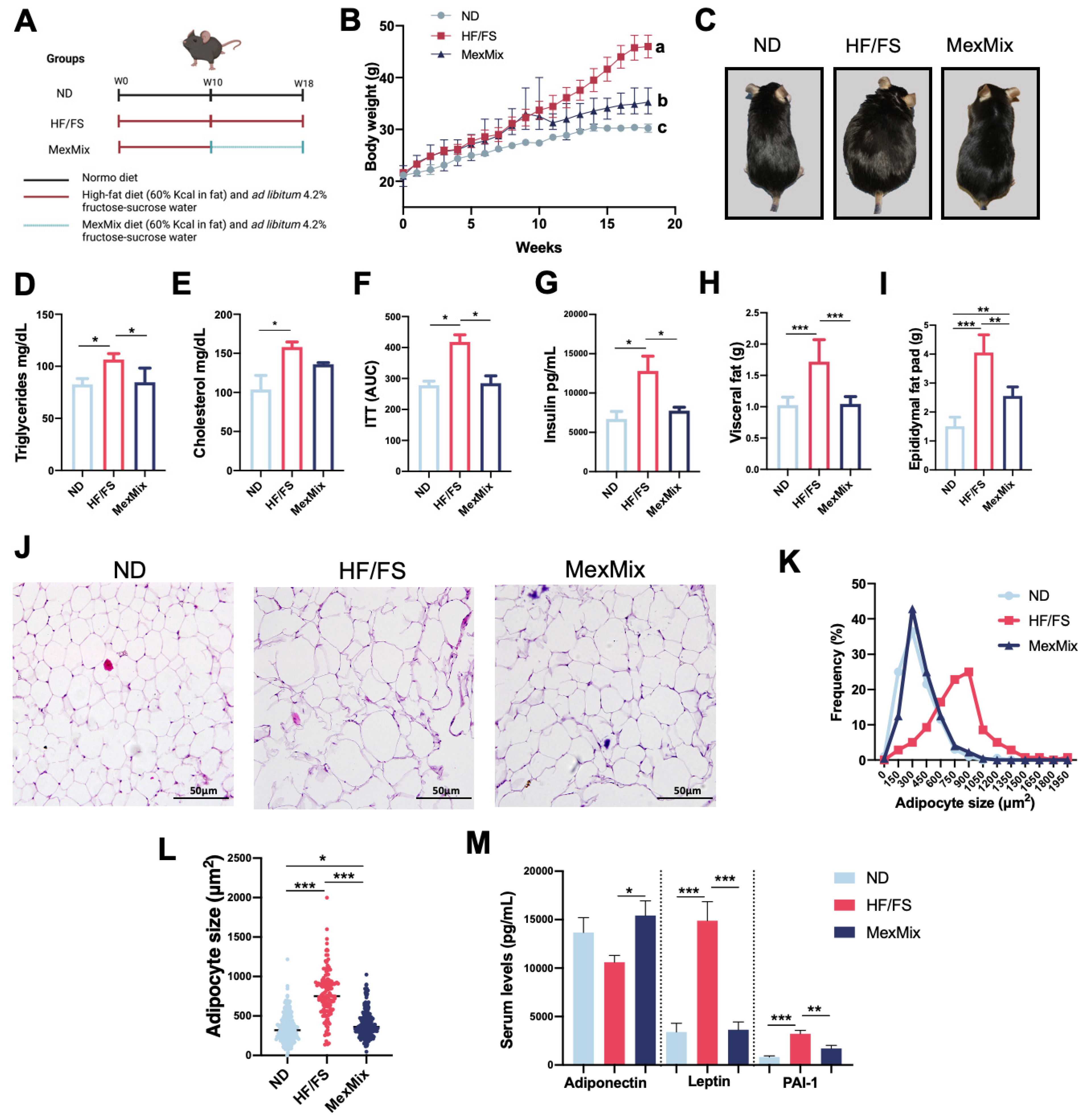 Antioxidants 13 00664 g001