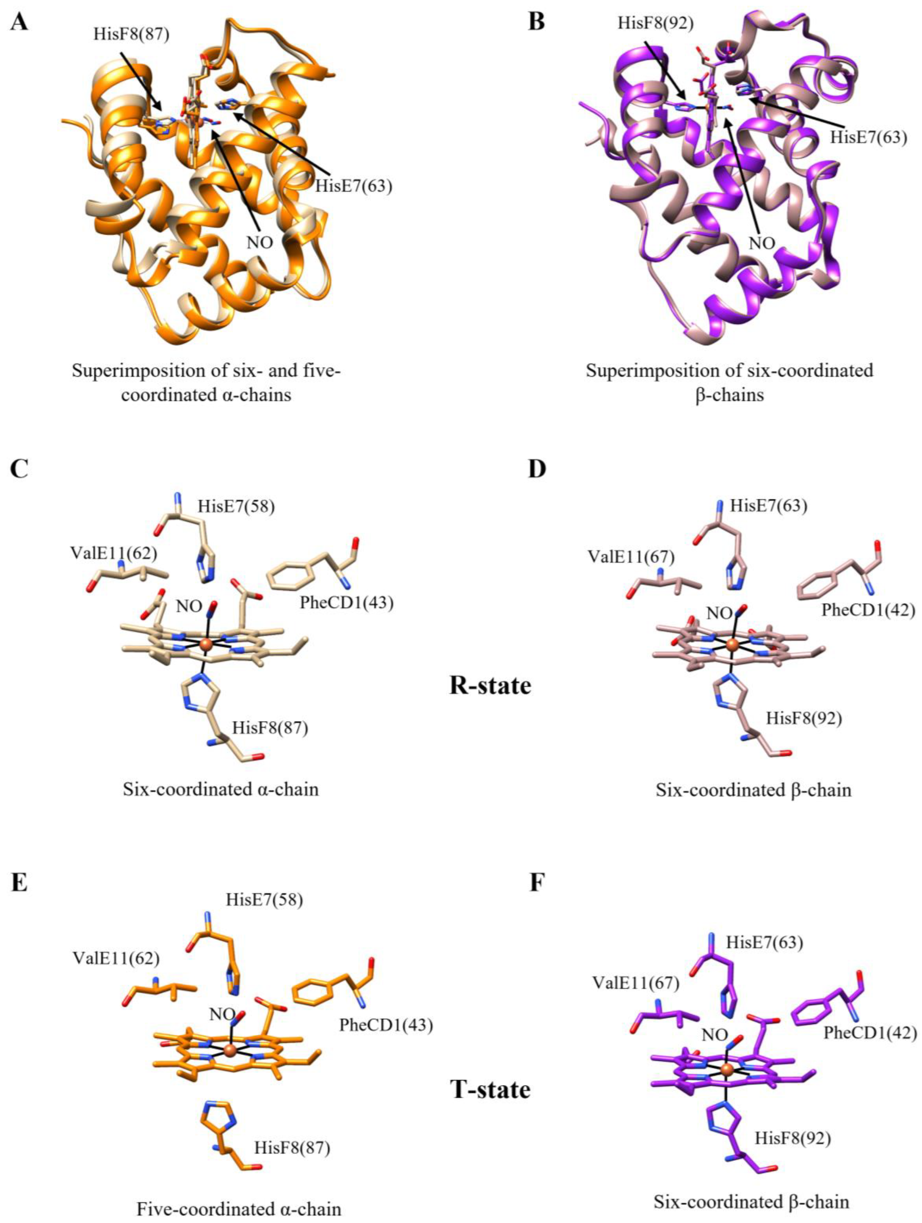 Antioxidants 13 00666 g001