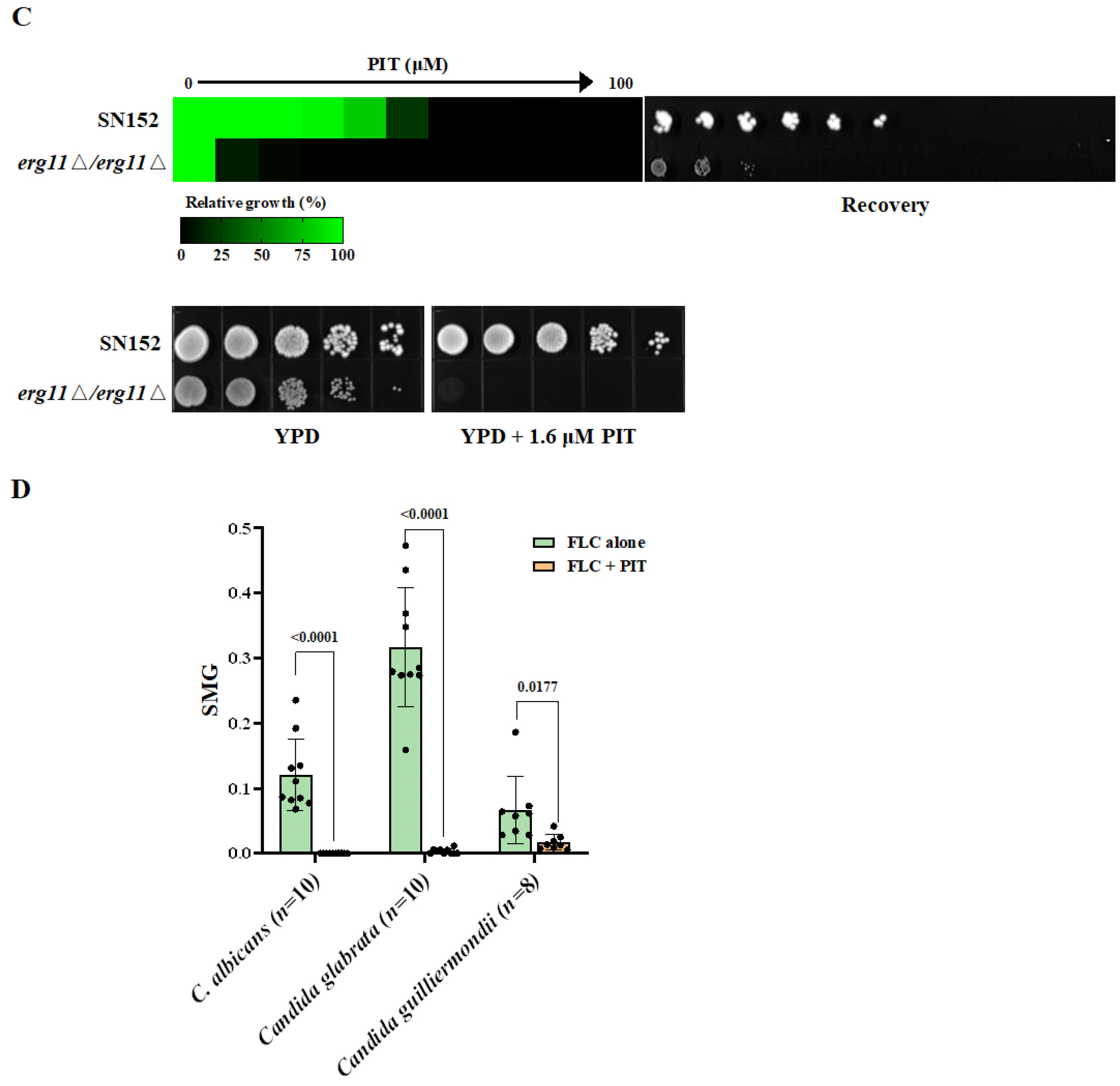 Antioxidants 13 00667 g005b Antioxidants 13 00667 g005b