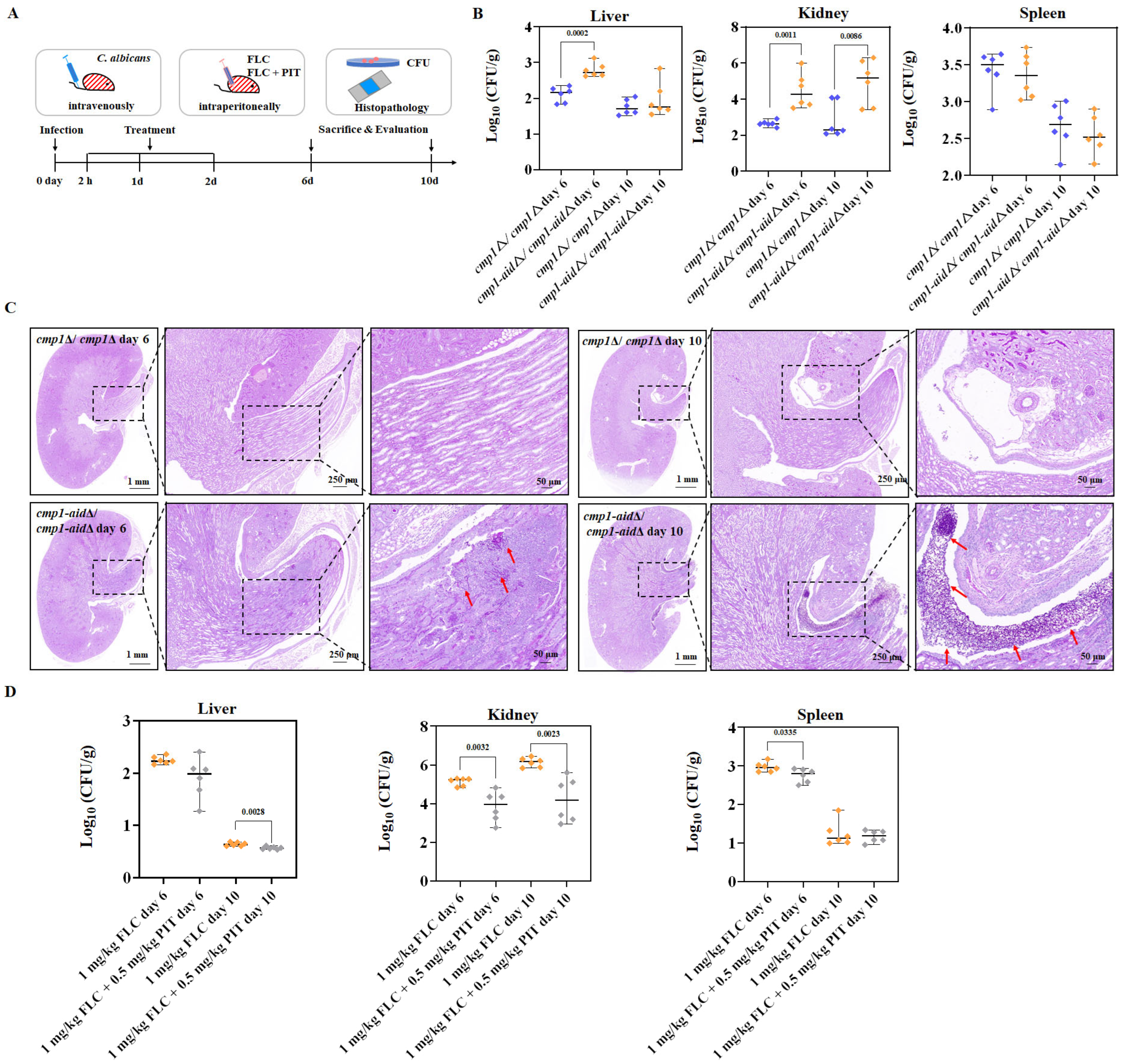 Antioxidants 13 00667 g009 Antioxidants 13 00667 g009